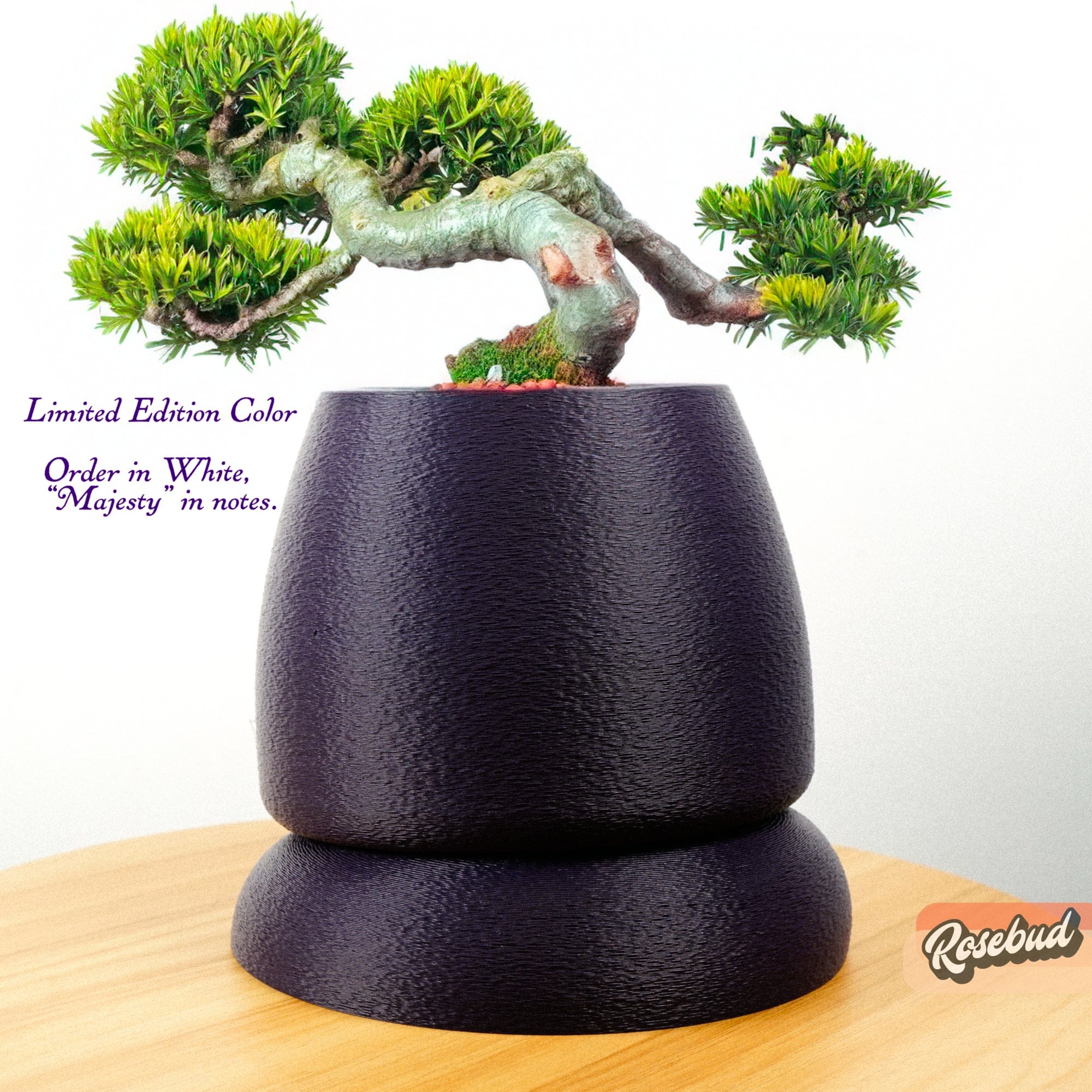 Rosebud HomeGoods Pots & Planters Nubium Planter