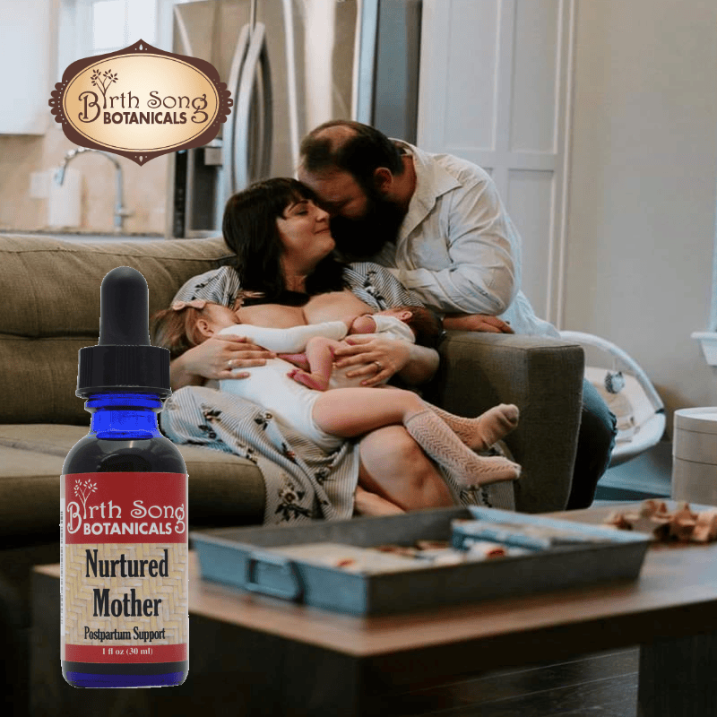 Birth Song Botanicals Co. Tinctures Nurtured Mother Herbal Tincture – Botanical Blend for Women (1 oz)