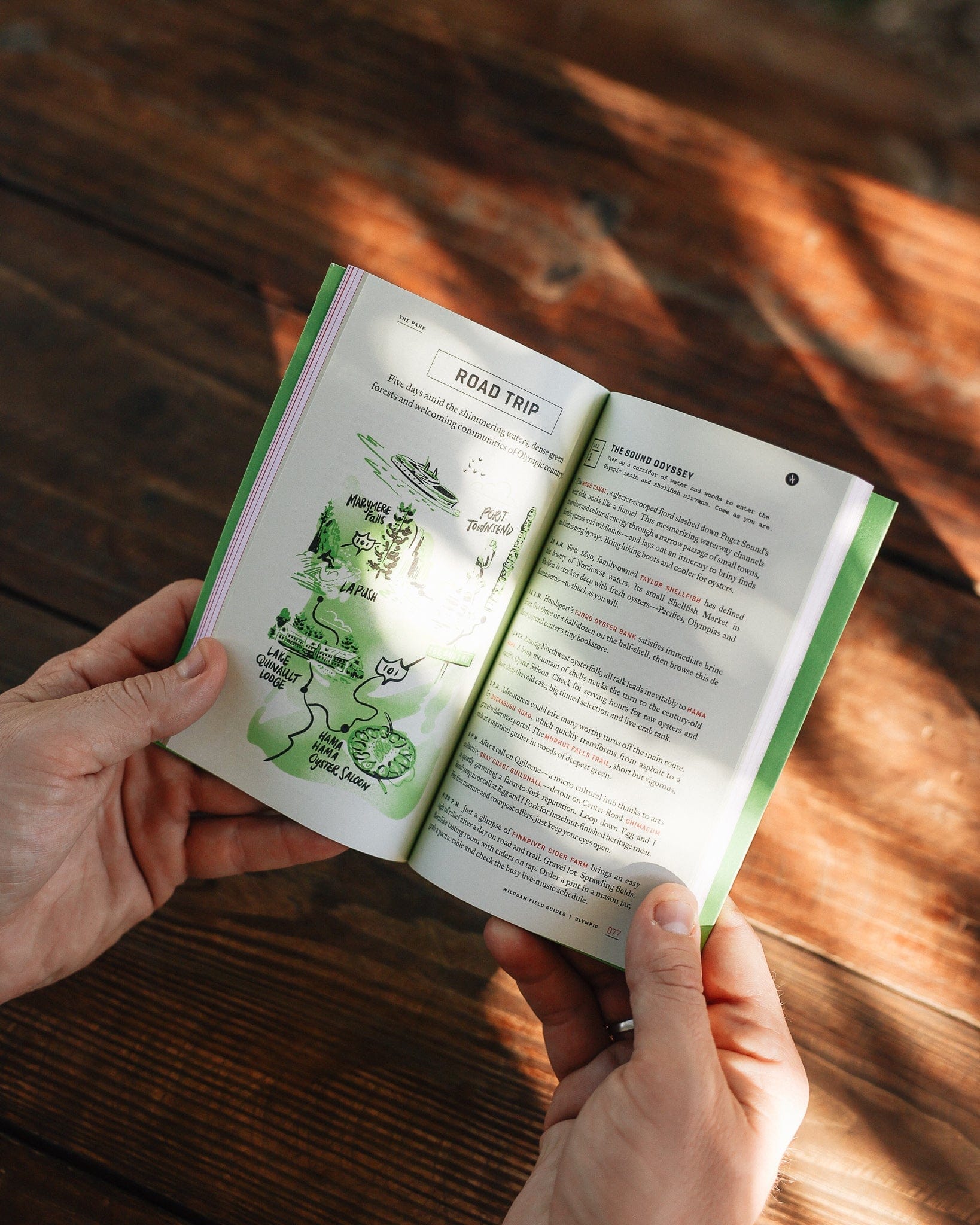 OLYMPIC NATIONAL PARK - My American Goods