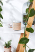 Organic Deodorant / Sensitive 1/2 & 1/2 Deodorant / Organic Deodorant - My American Goods