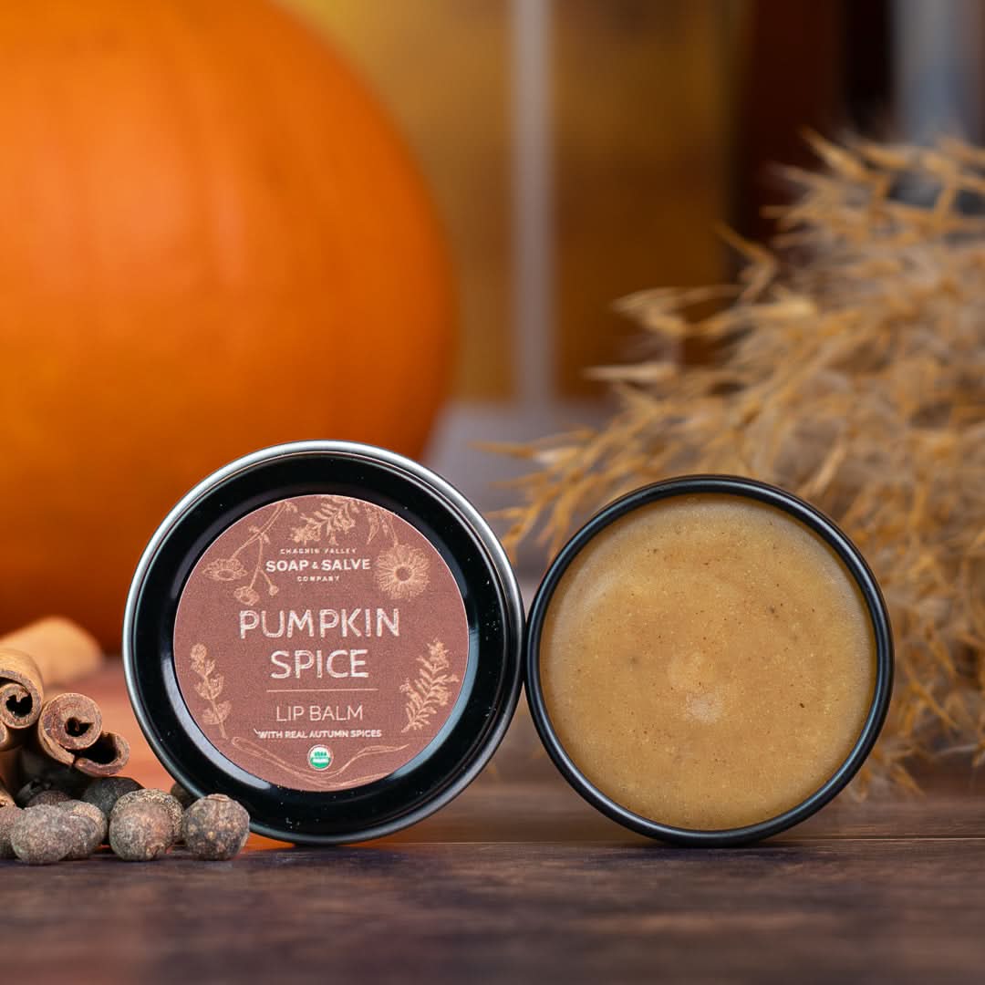 Chagrin Valley Soap & Salve Lip Balm 0.5 fl oz Tin Lip Balm: Pumpkin Spice