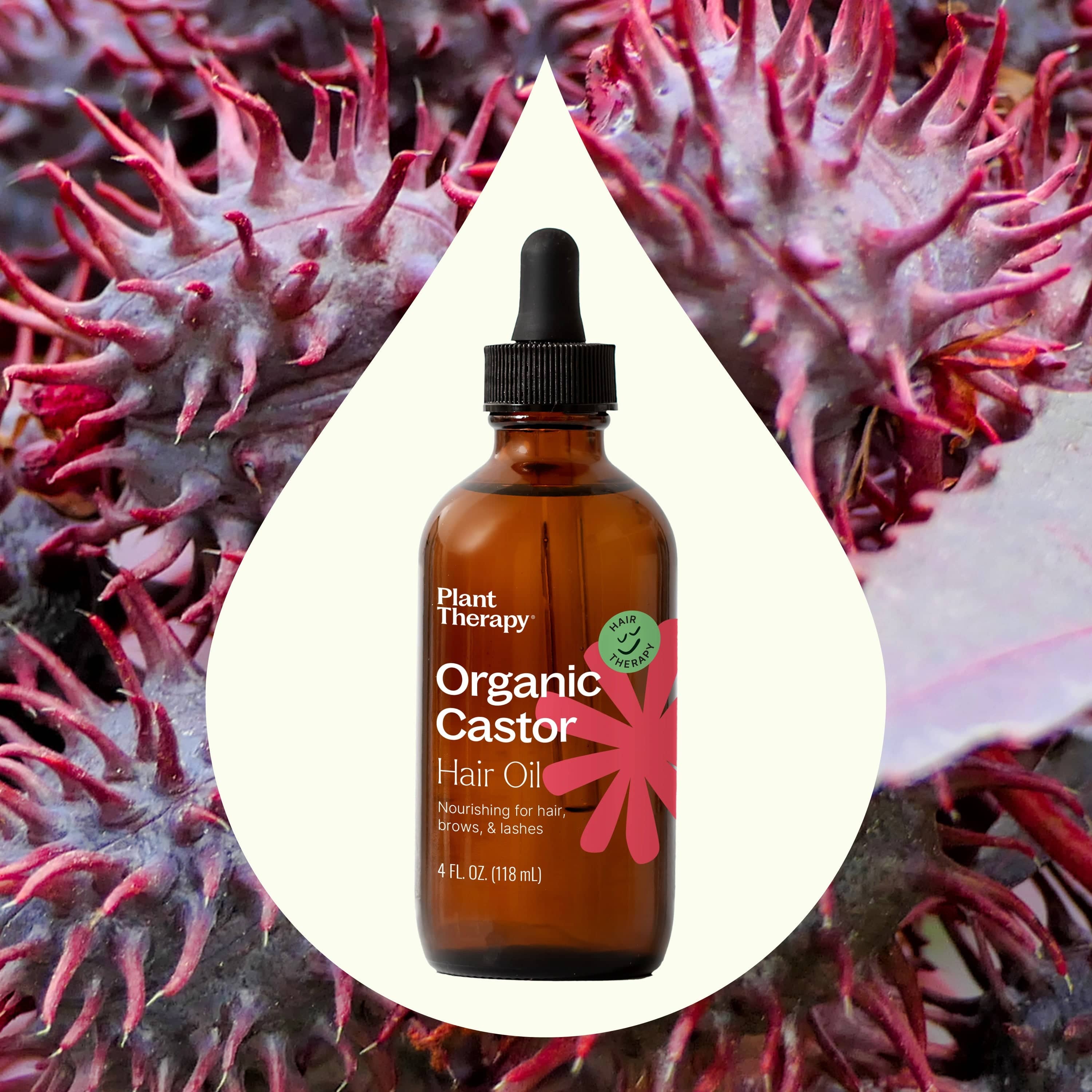 Plant Therapy Hair & Skin Care 4 oz Organic Castor Oil