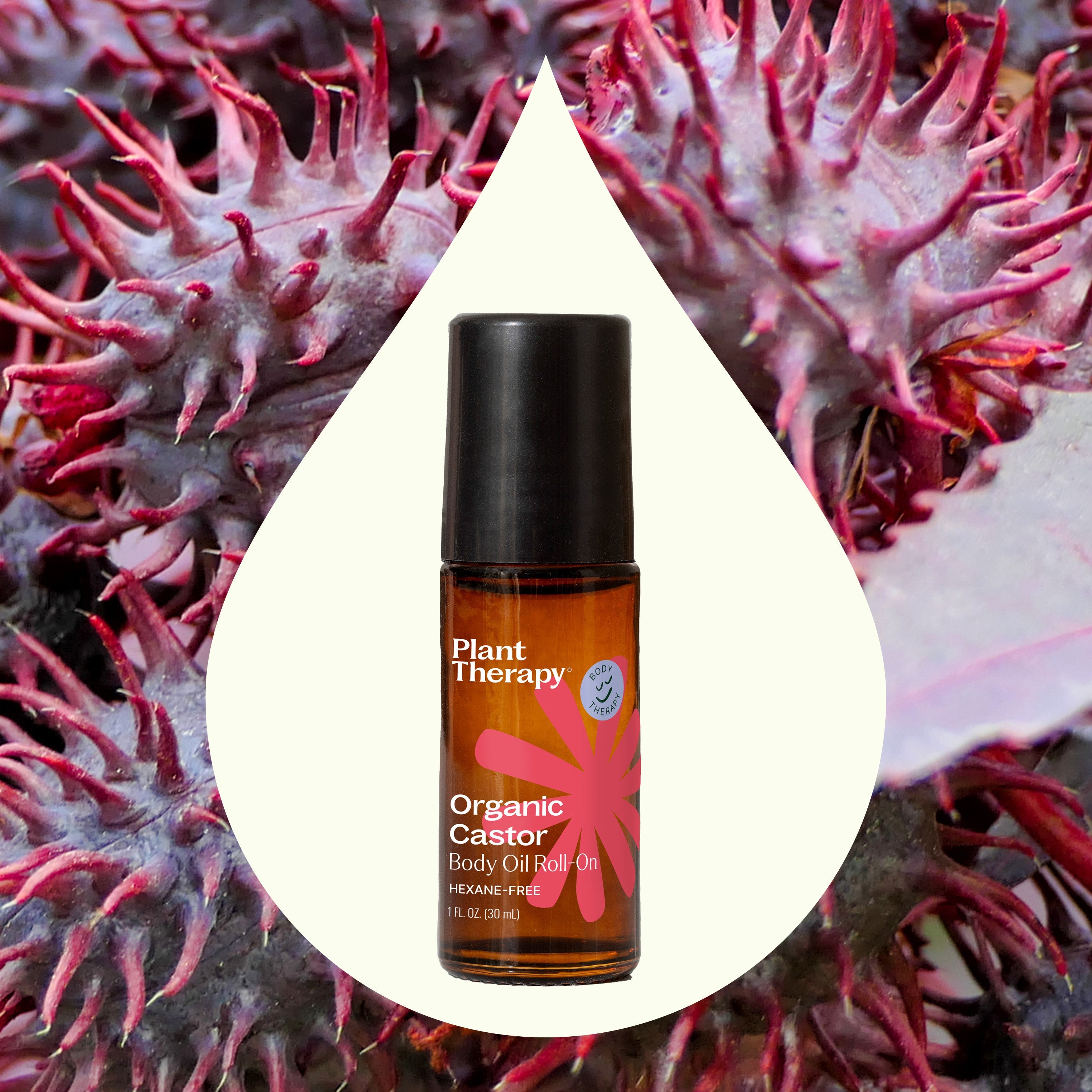 Organic Castor Body Oil Roll-On - My American Goods