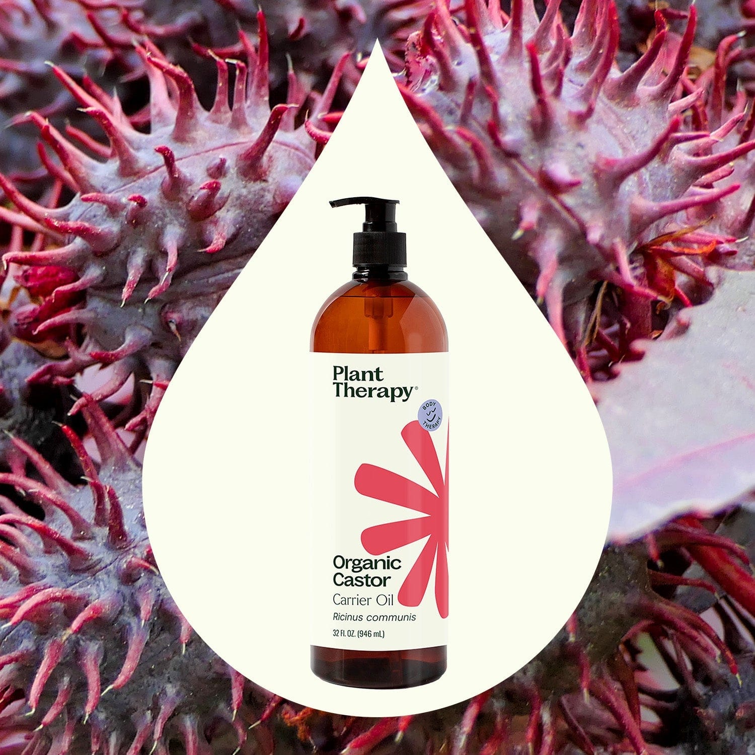 Plant Therapy Body Care Organic Castor Carrier Oil