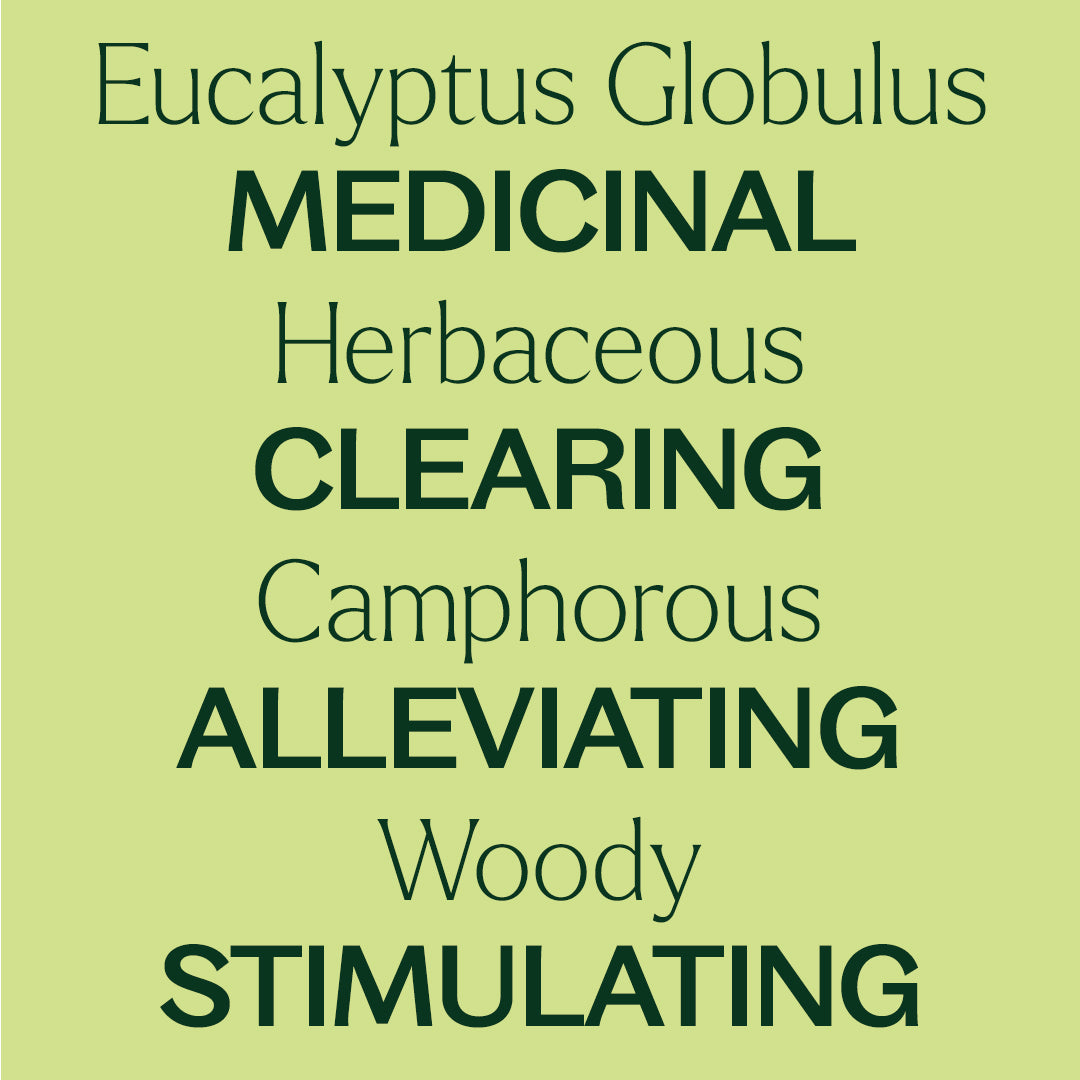 Organic Eucalyptus Globulus 5-Pack
