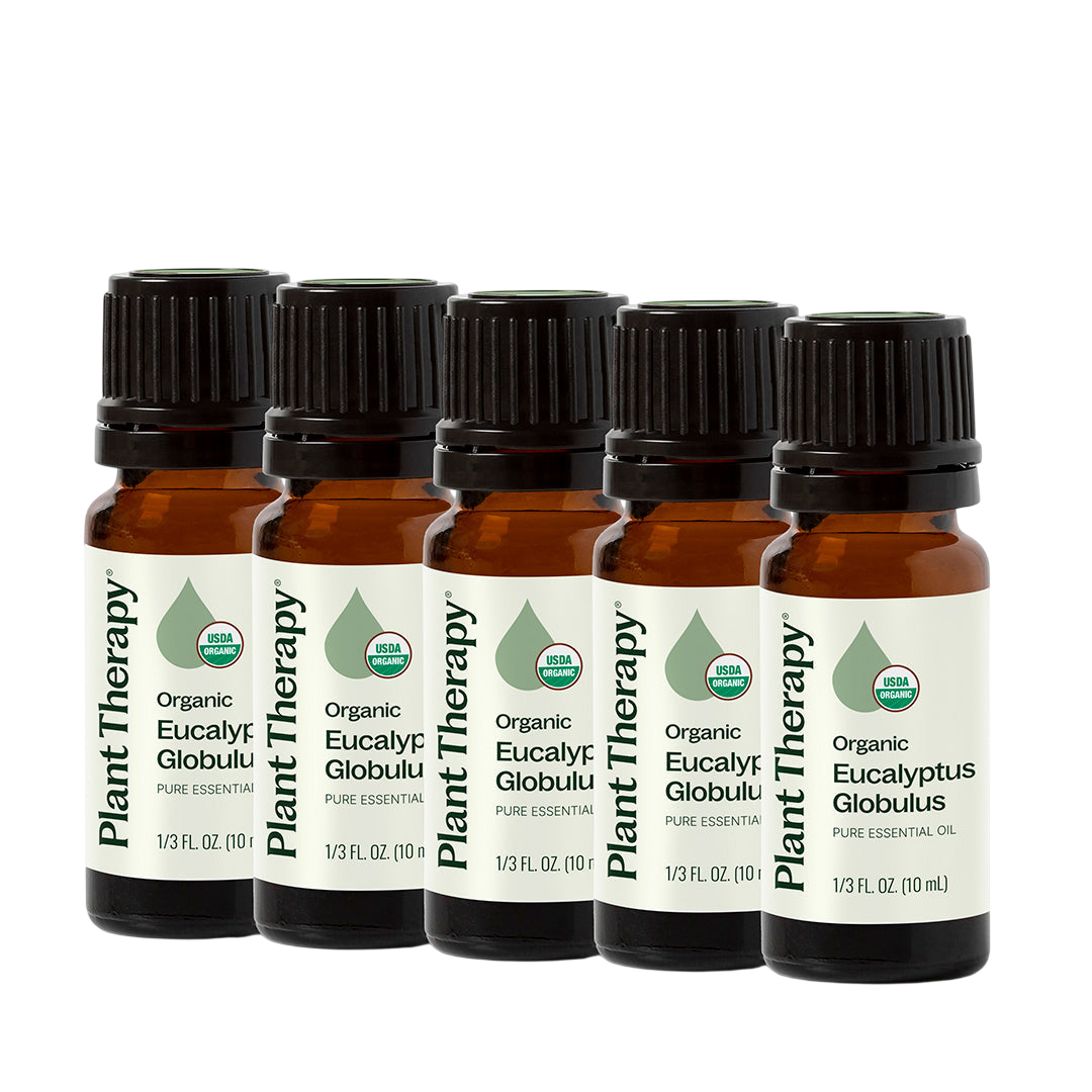 Organic Eucalyptus Globulus 5-Pack