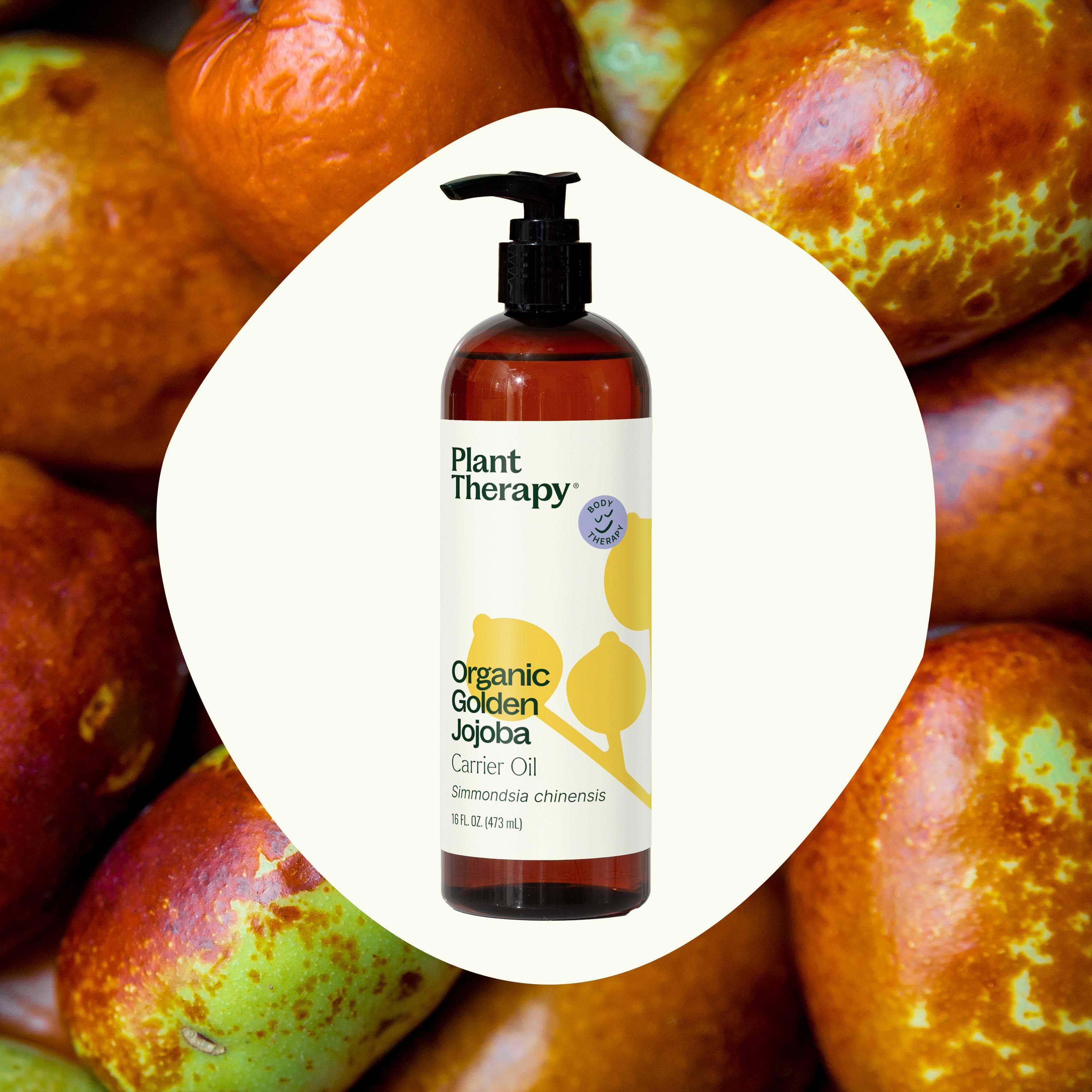 Organic Golden Jojoba Carrier Oil