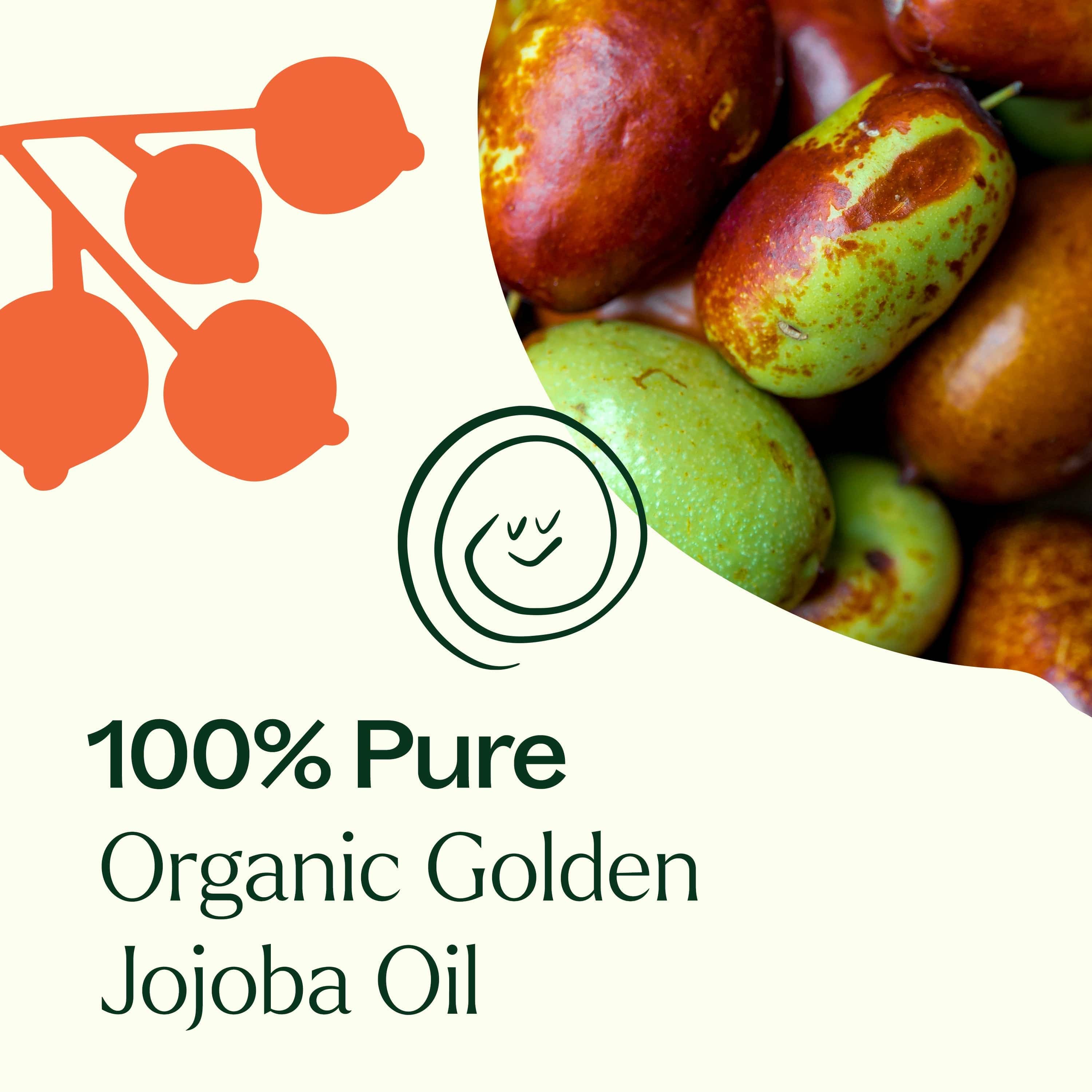 Plant Therapy Body Care 16 oz Organic Golden Jojoba Carrier Oil