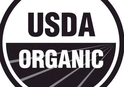 ORGANIC FACIAL MOISTURIZER Nourishing and Moisturizing - My American Goods