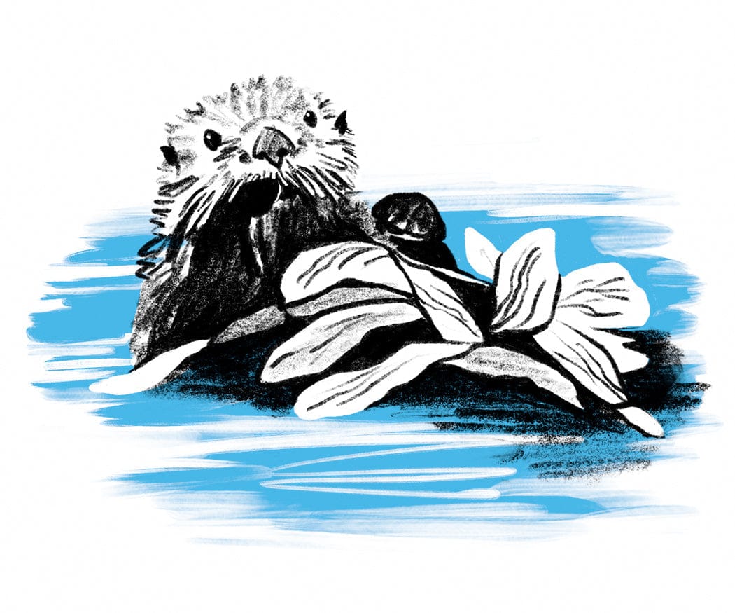 BIG SUR & HWY 1 - My American Goods