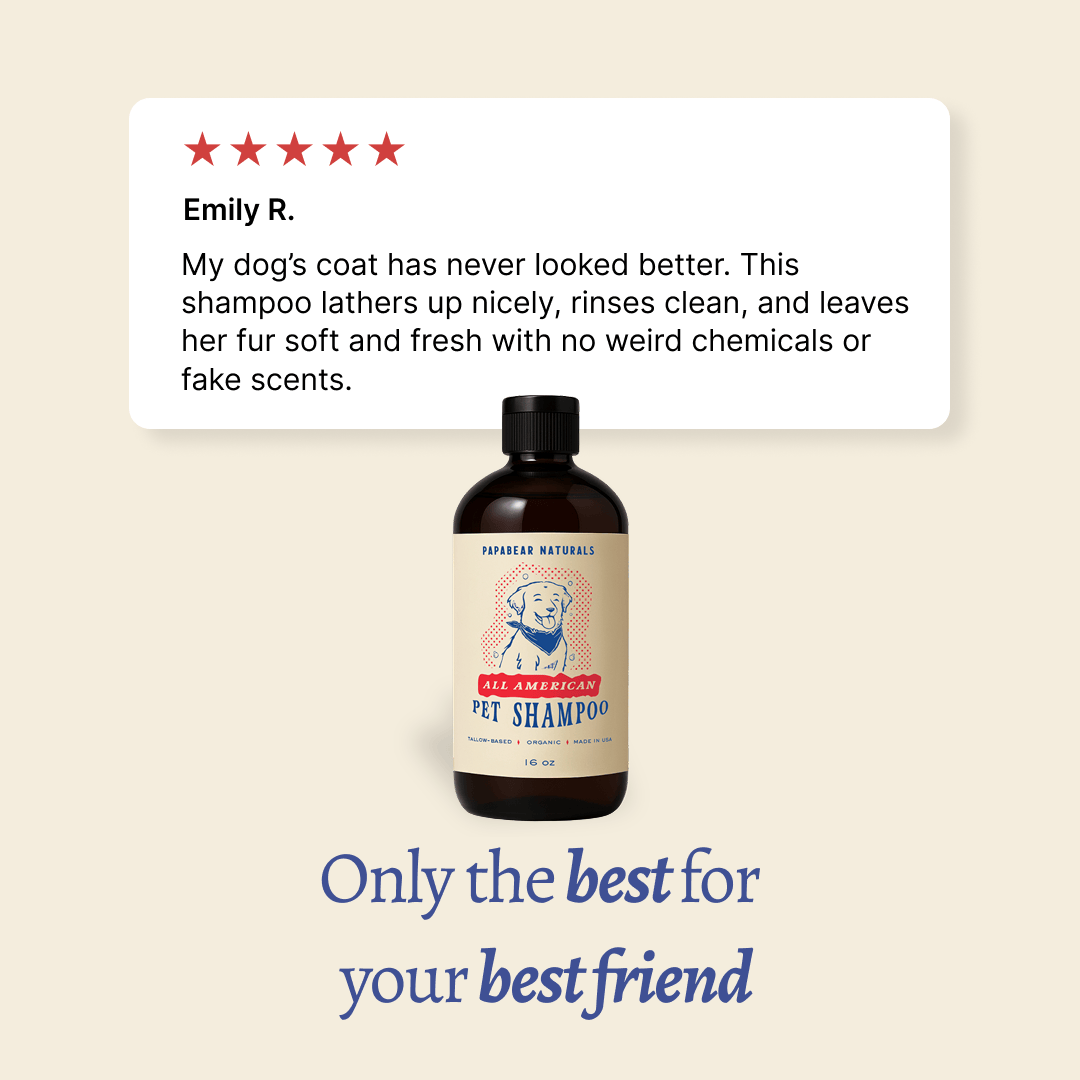 Papabear All American Pet Shampoo - My American Goods