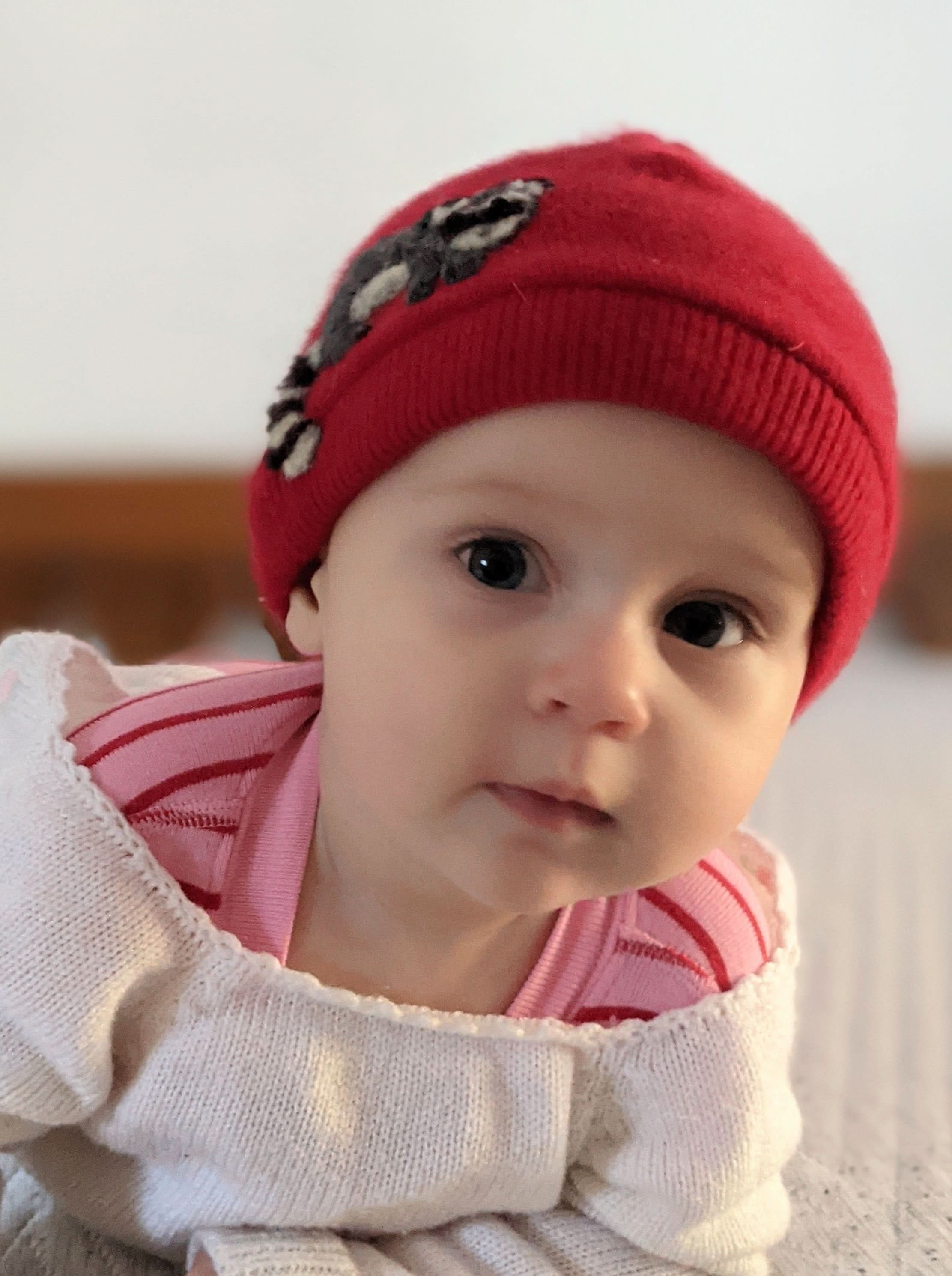 Ash & Rose hat Red Raccoon Cashmere Hat - Baby