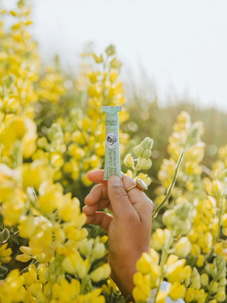 Organic Lip Balm - Pacific Mint - My American Goods