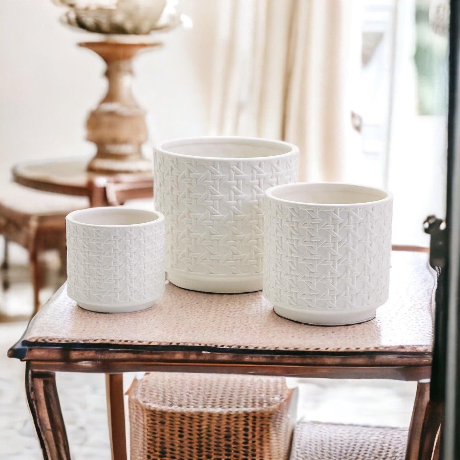 Gia Roma Webbing Planters