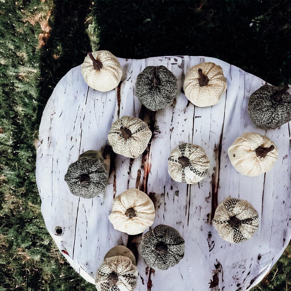 Mini Pumpkins 12pk - My American Goods