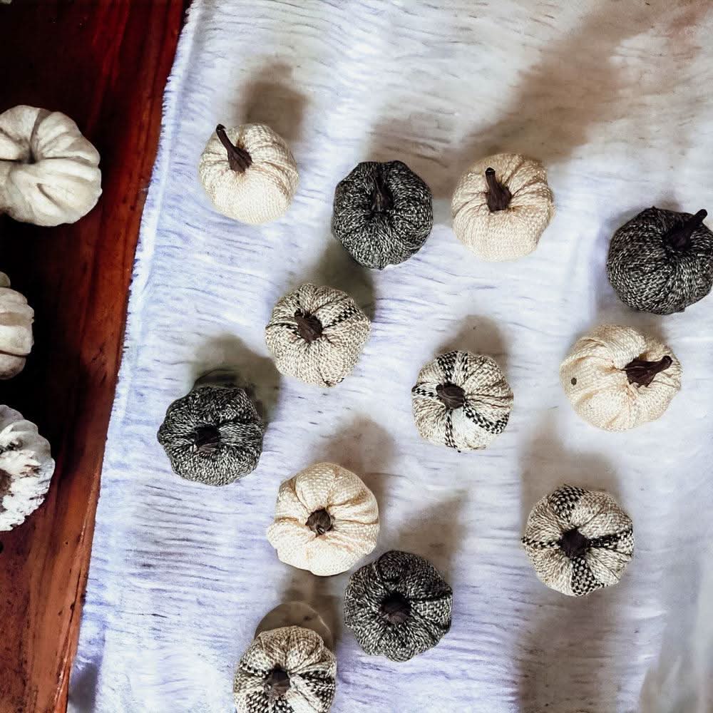 Gia Roma Pumpkins Mini Pumpkins 12pk