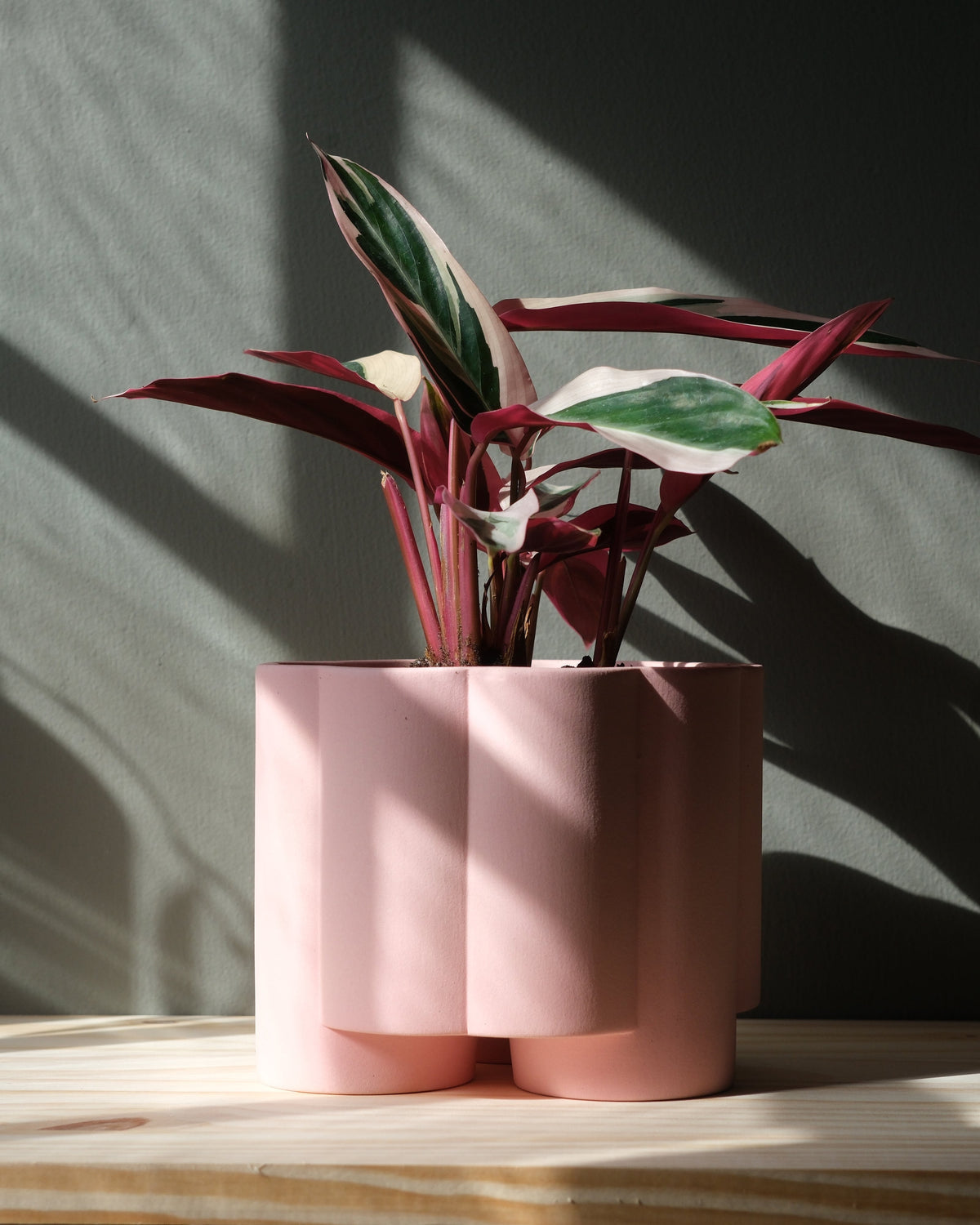 Pillar Planter