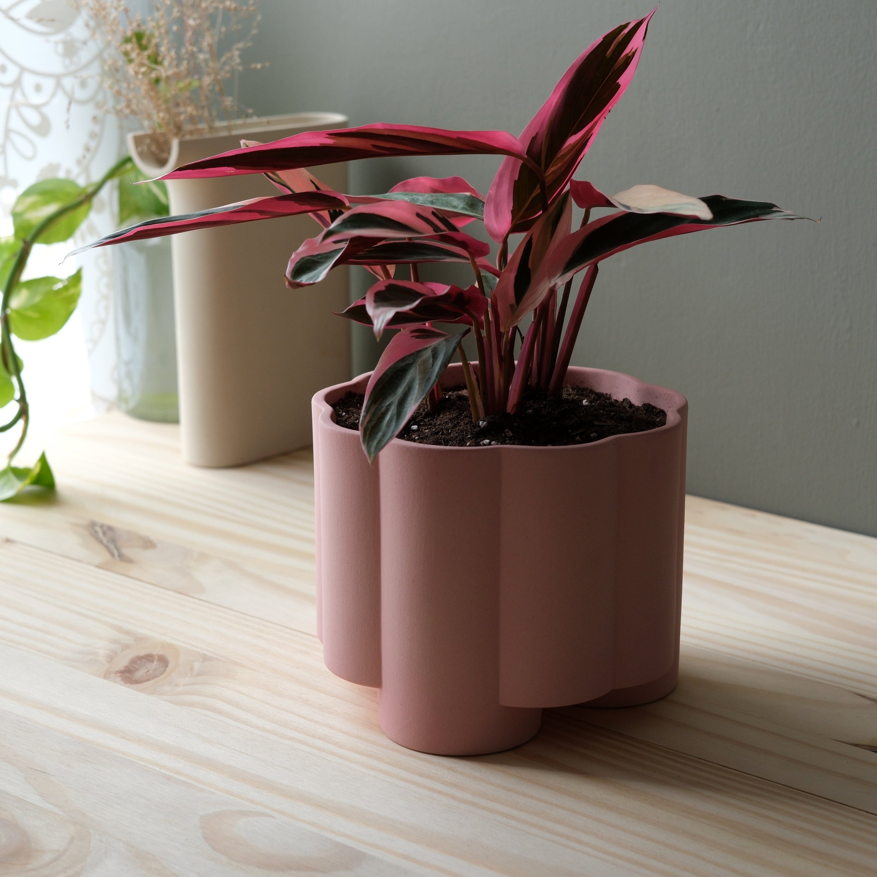 Misewell Pots & Planters Pillar Planter