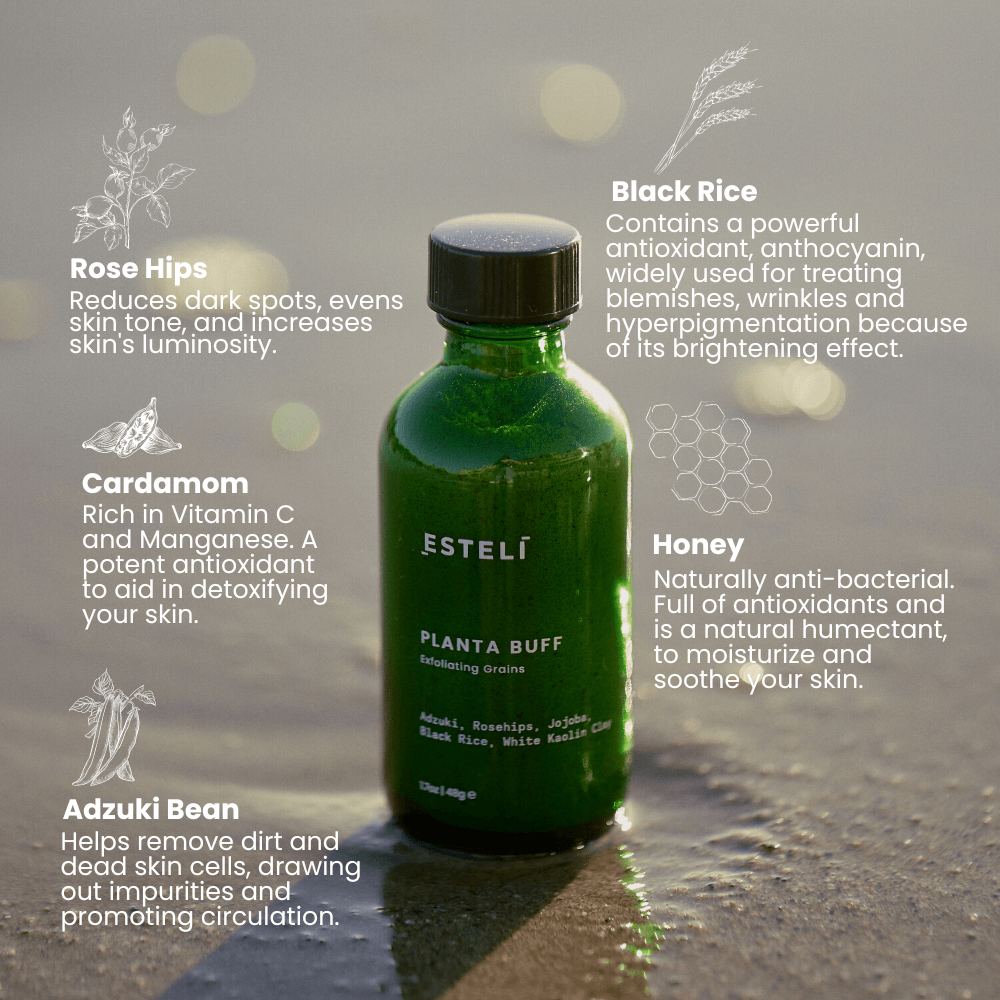Esteli FACE Planta Buff Exfoliating Grains
