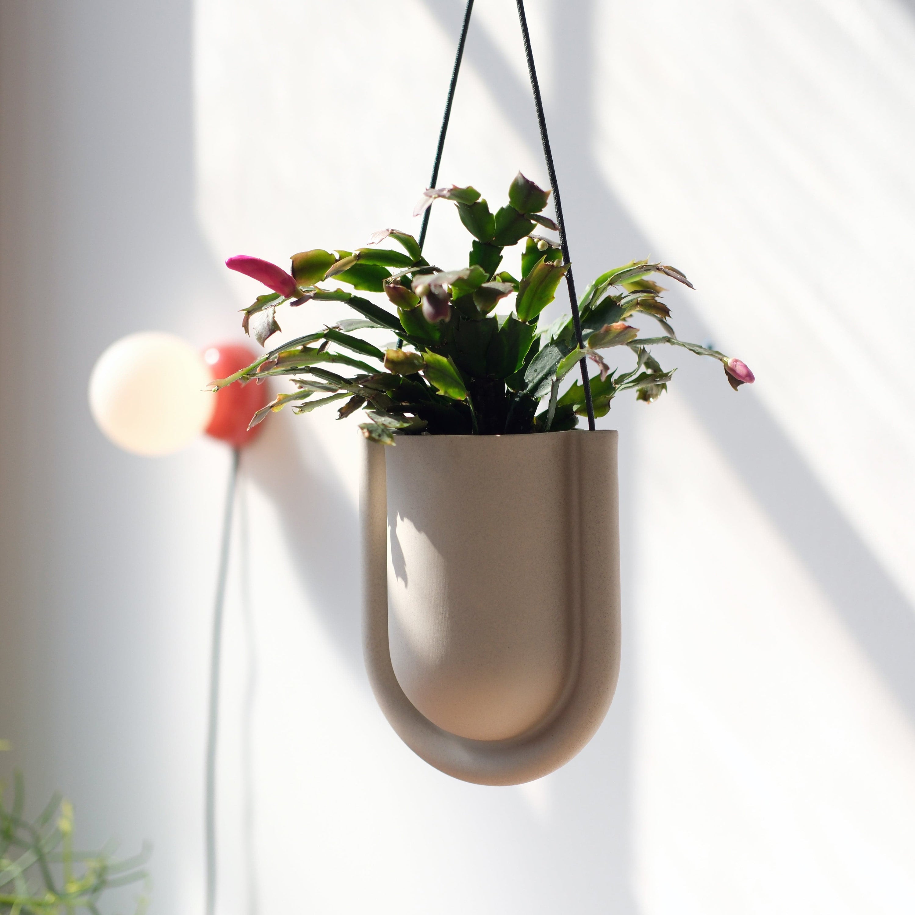 Misewell Pots & Planters Dune Portico Planter