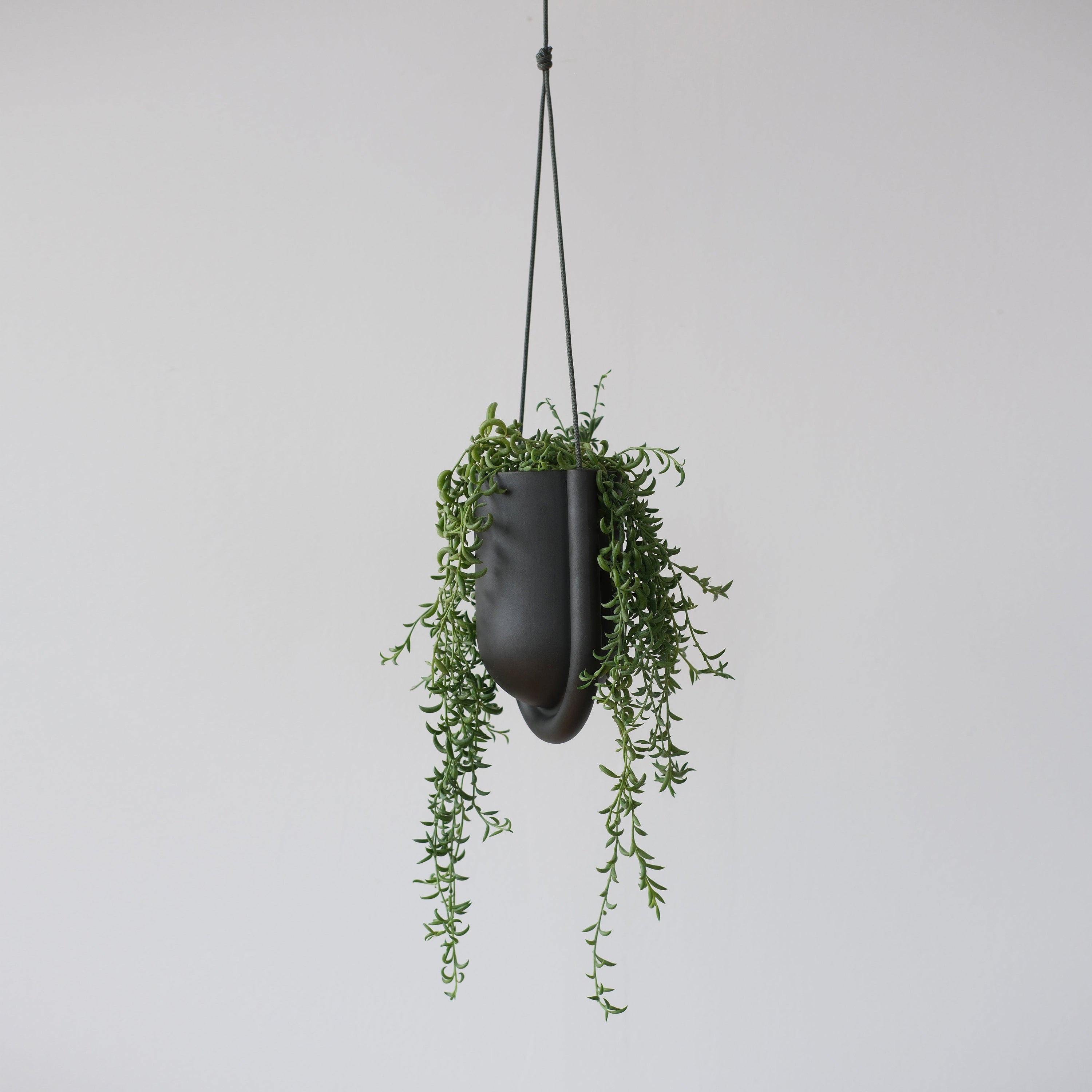 Misewell Pots & Planters Black Portico Planter