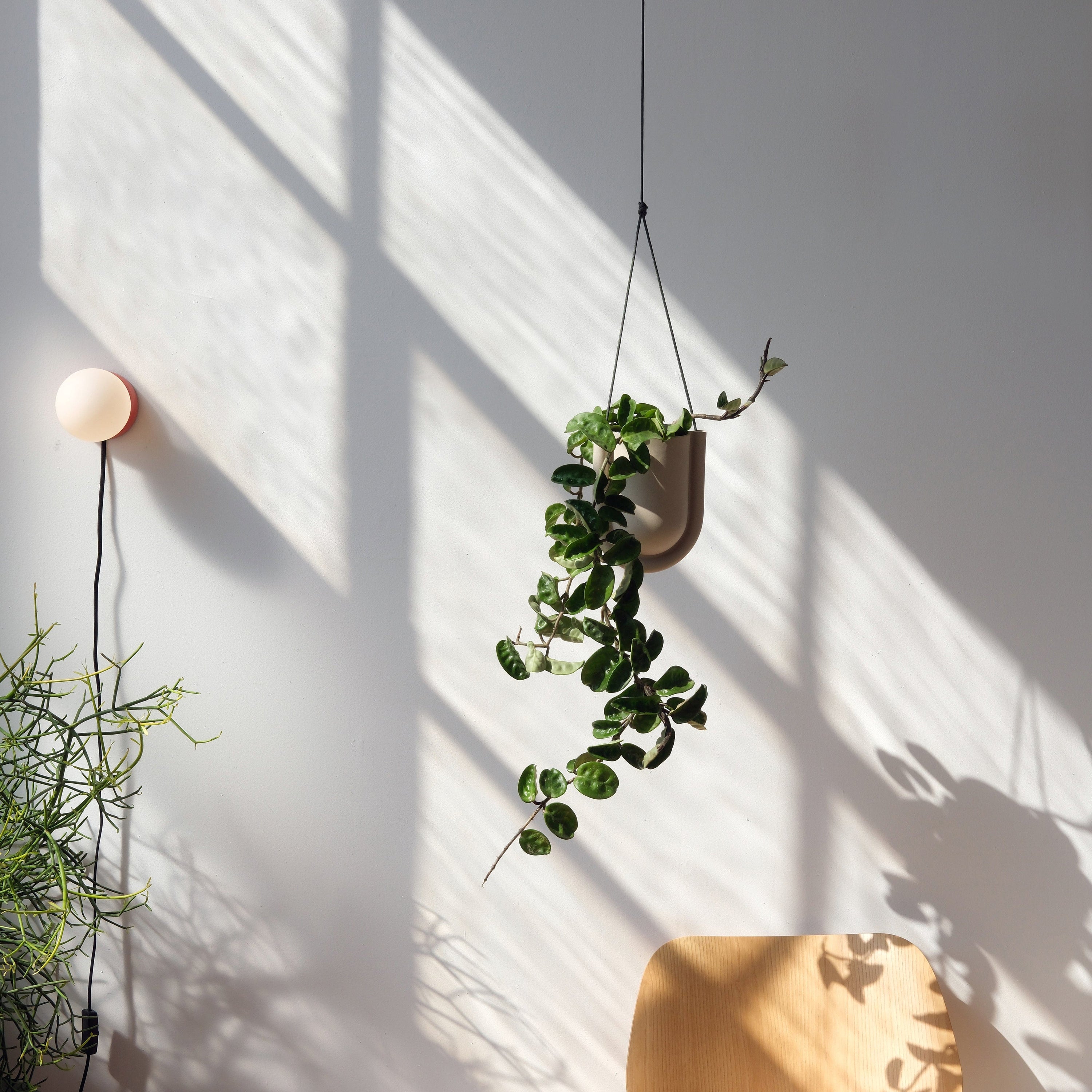 Misewell Pots & Planters Portico Planter