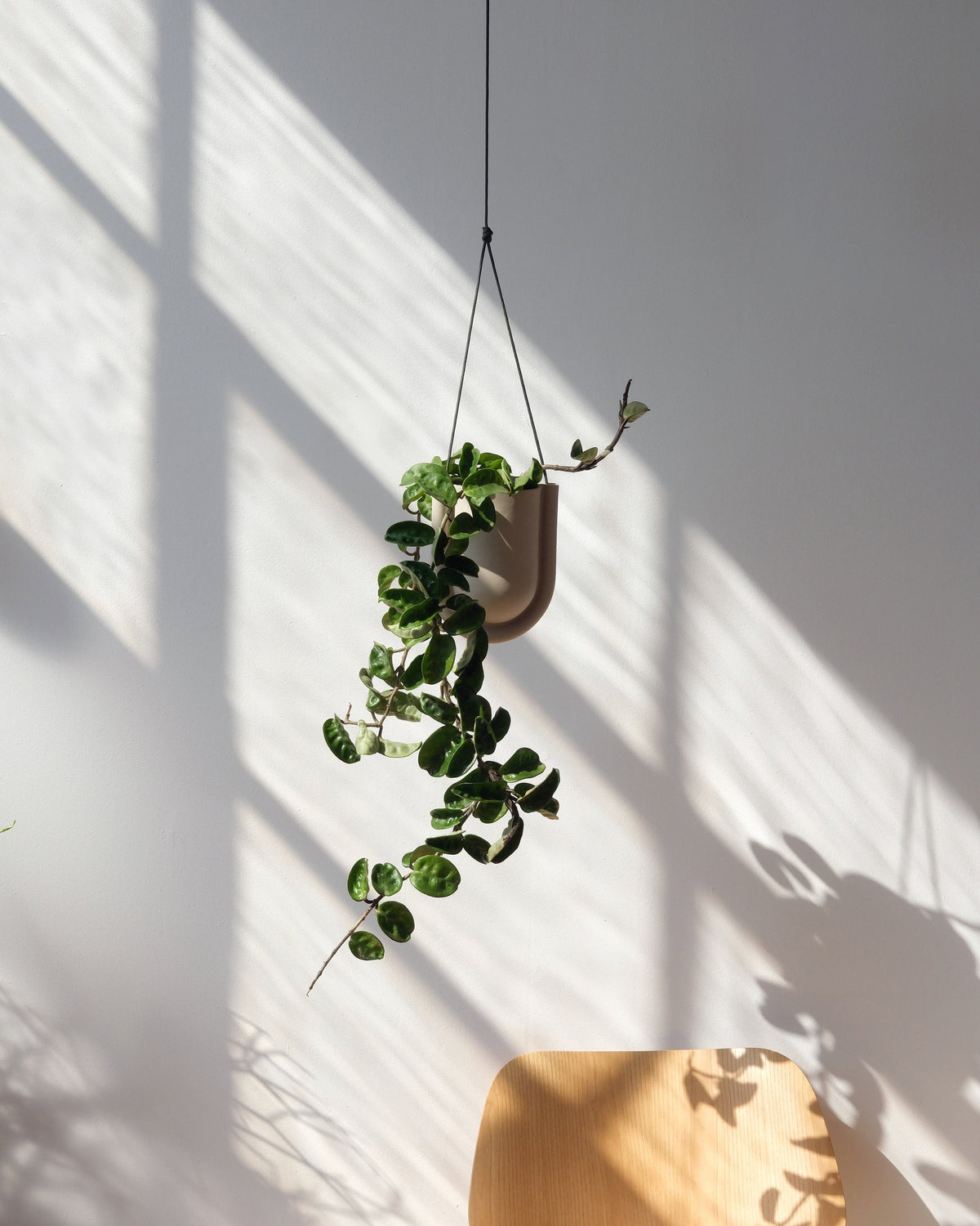 Portico Planter