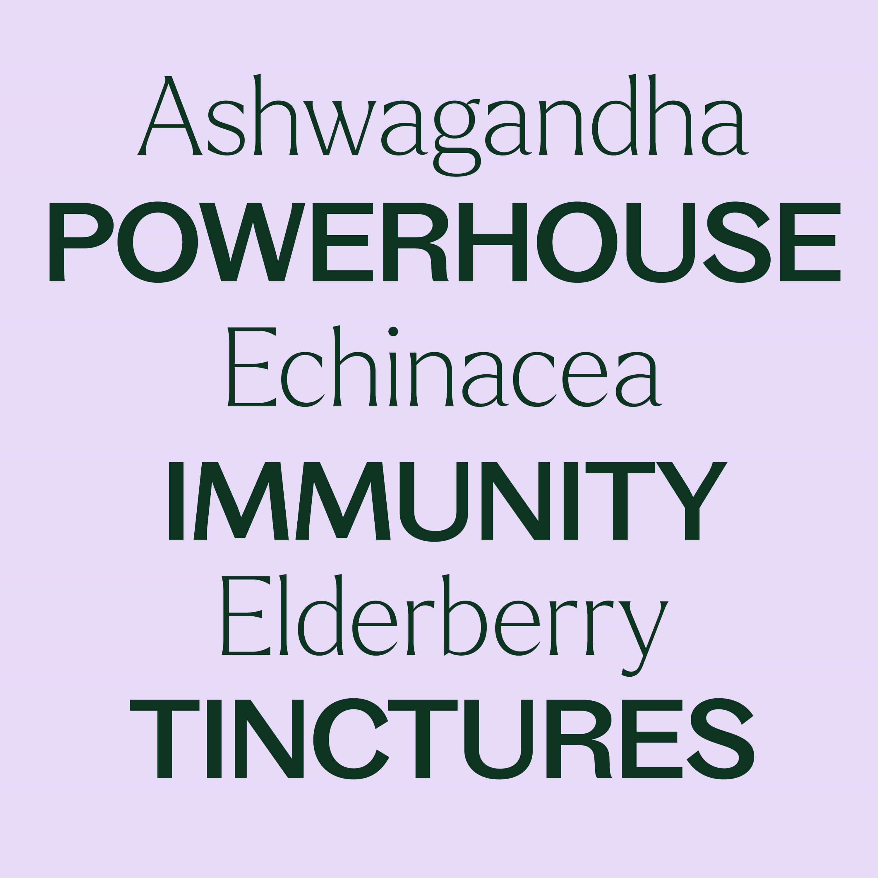 Powerhouse Immunity Tincture Trio Set - My American Goods