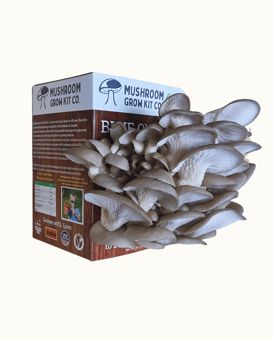 Premium Blue Oyster Mushroom Growing Kit - 5 LBS - My American Goods