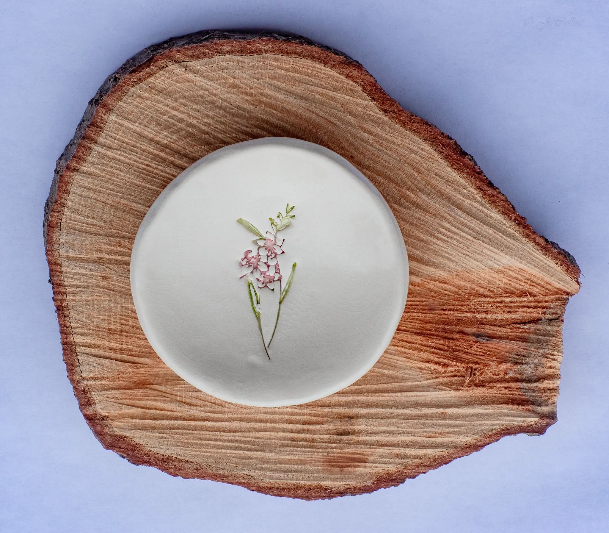 prodigalpottery Ceramic August Gladiolus Birth Flower Ring Dish