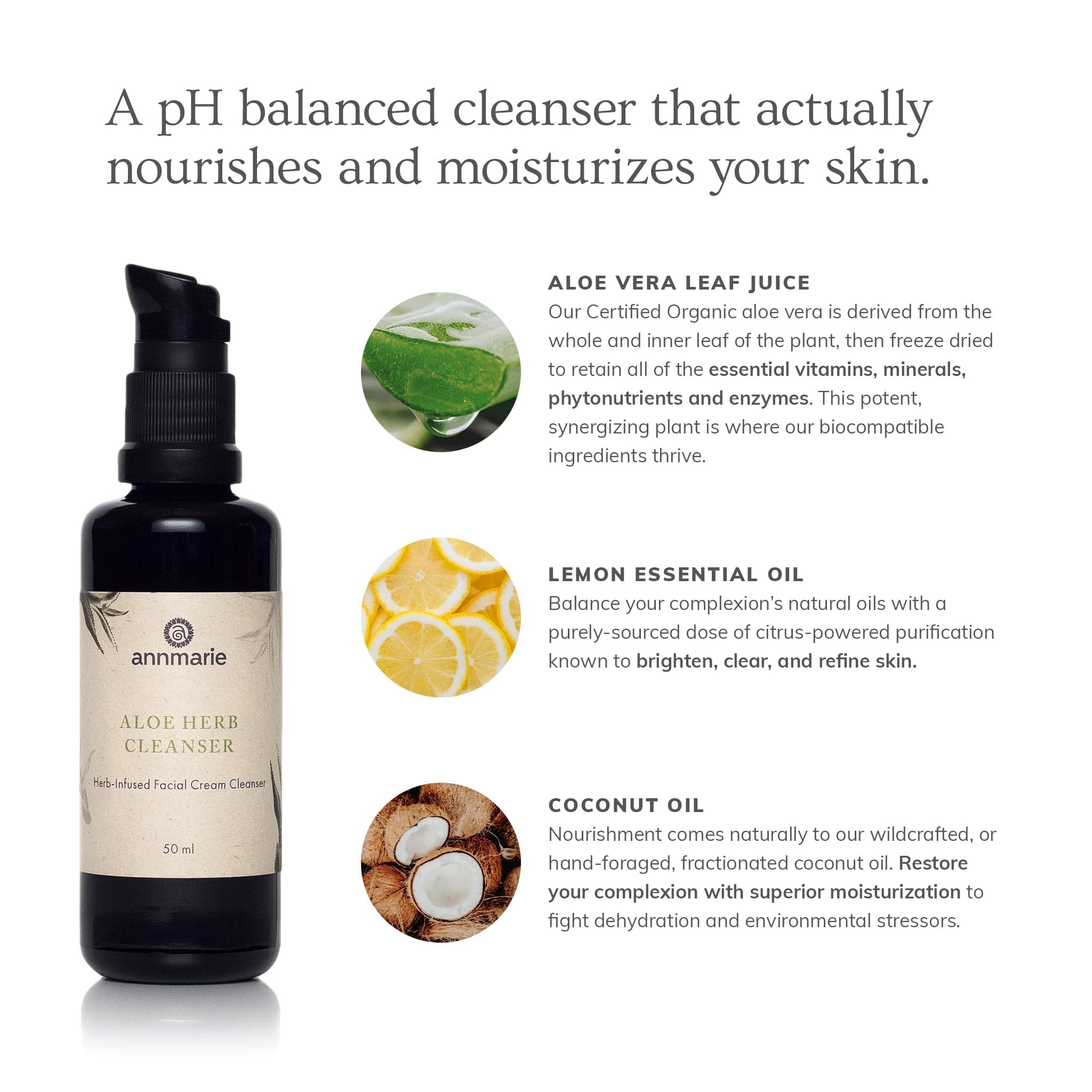 Annmarie Skin Care HIDDEN Aloe Herb Cleanser (50ml)