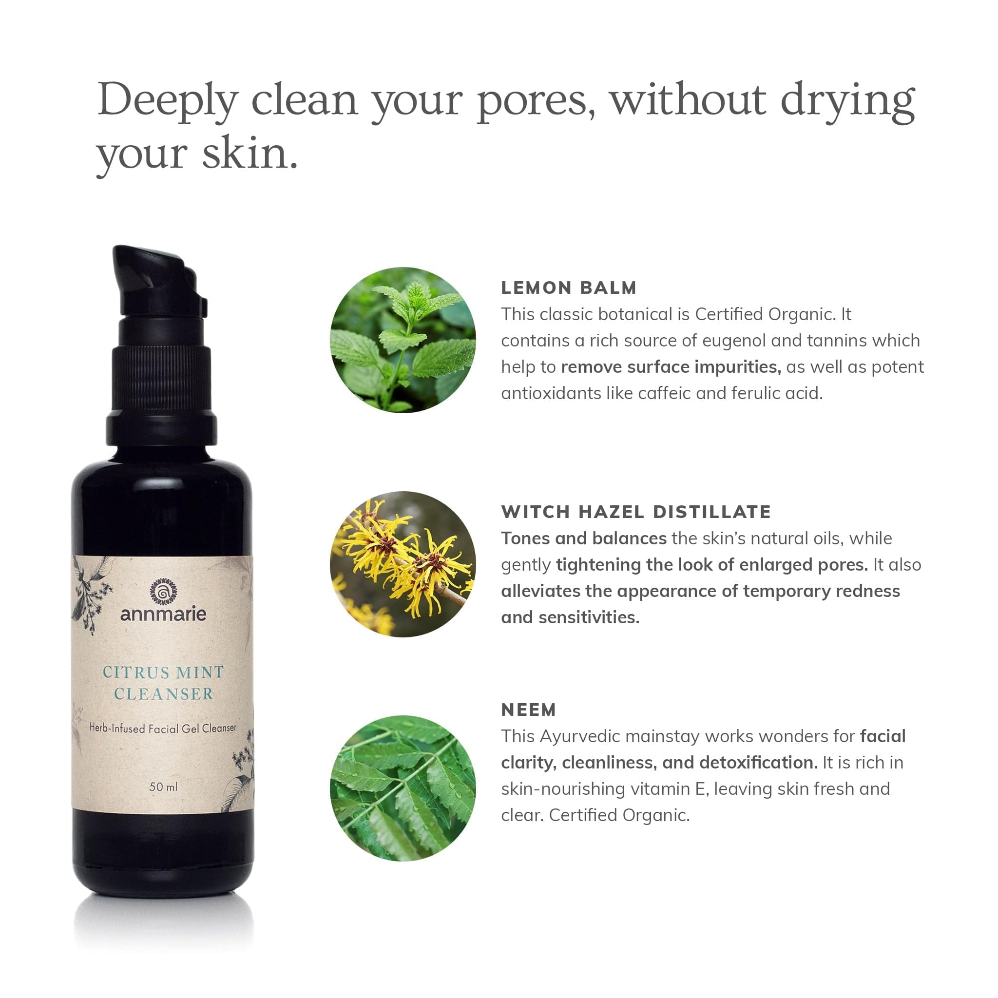 Annmarie Skin Care HIDDEN Citrus Mint Cleanser (50ml)