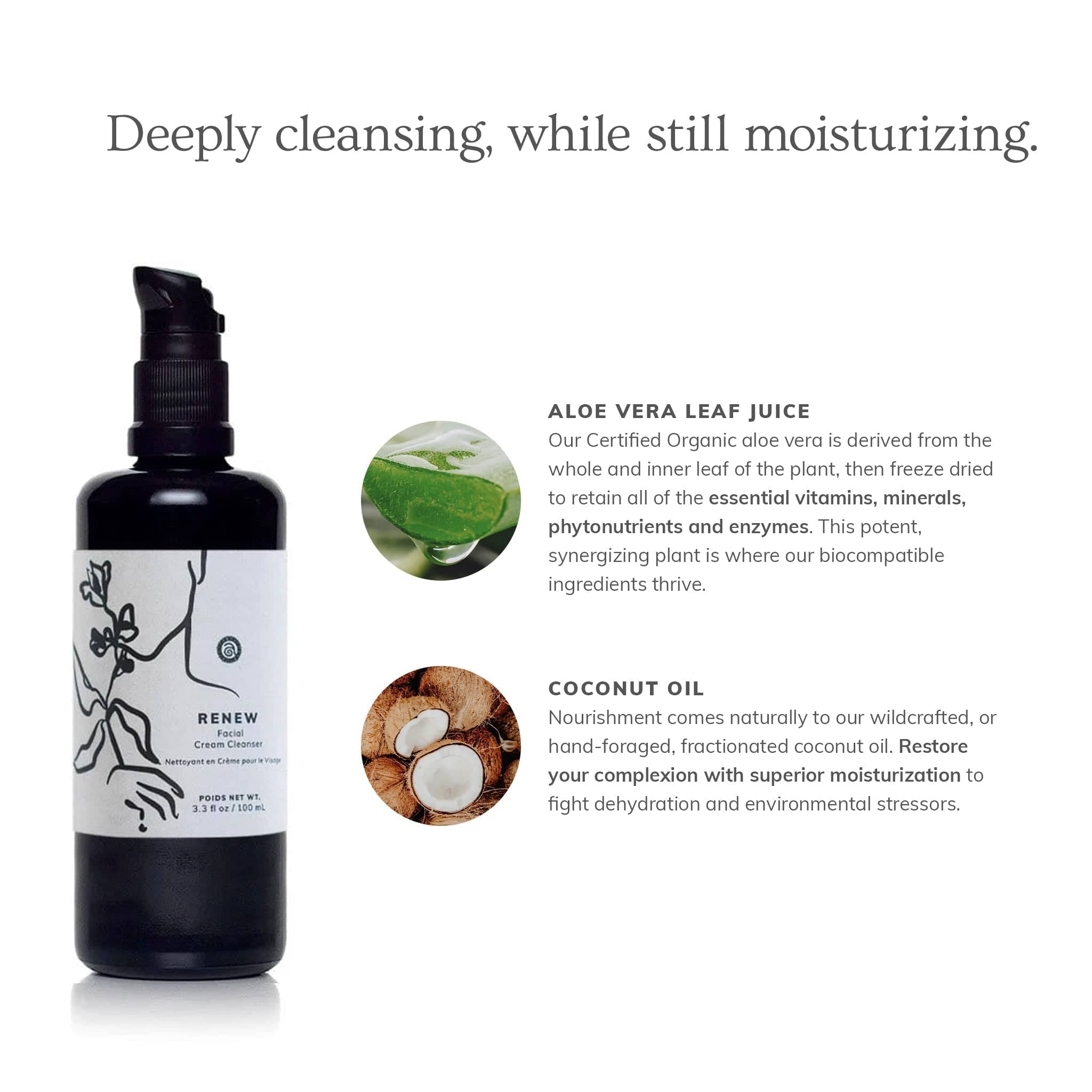 Annmarie Skin Care HIDDEN Renew - Facial Cream Cleanser (100ml)
