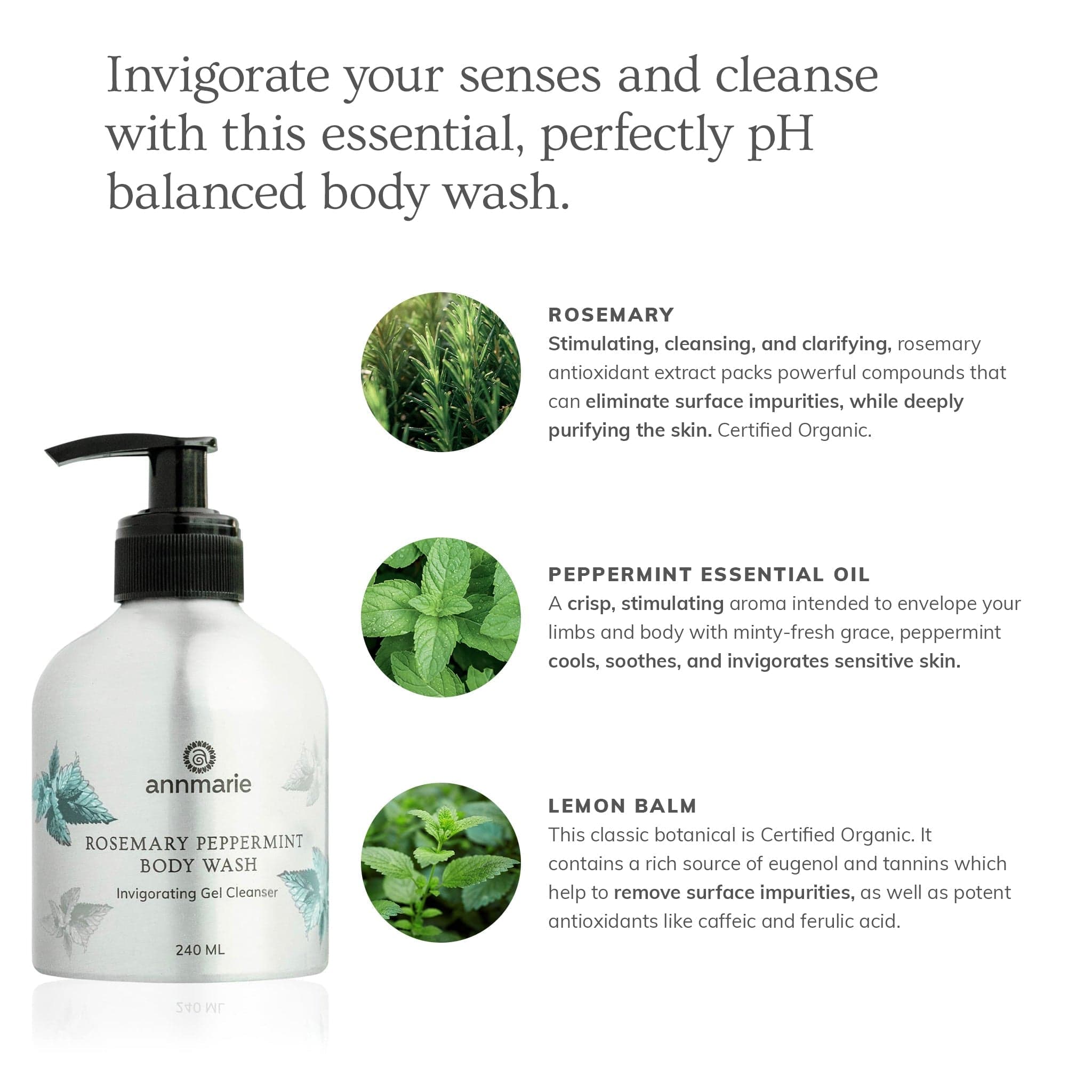 Annmarie Skin Care HIDDEN Rosemary Peppermint Hand & Body Wash (240ml)