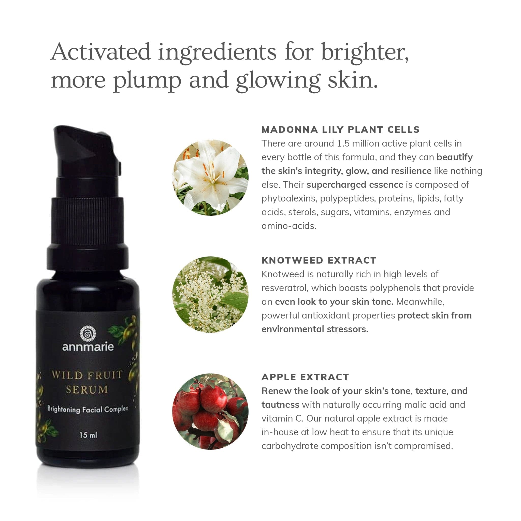 Annmarie Skin Care HIDDEN Wild Fruit Serum - Brightening Facial Complex (15ml)