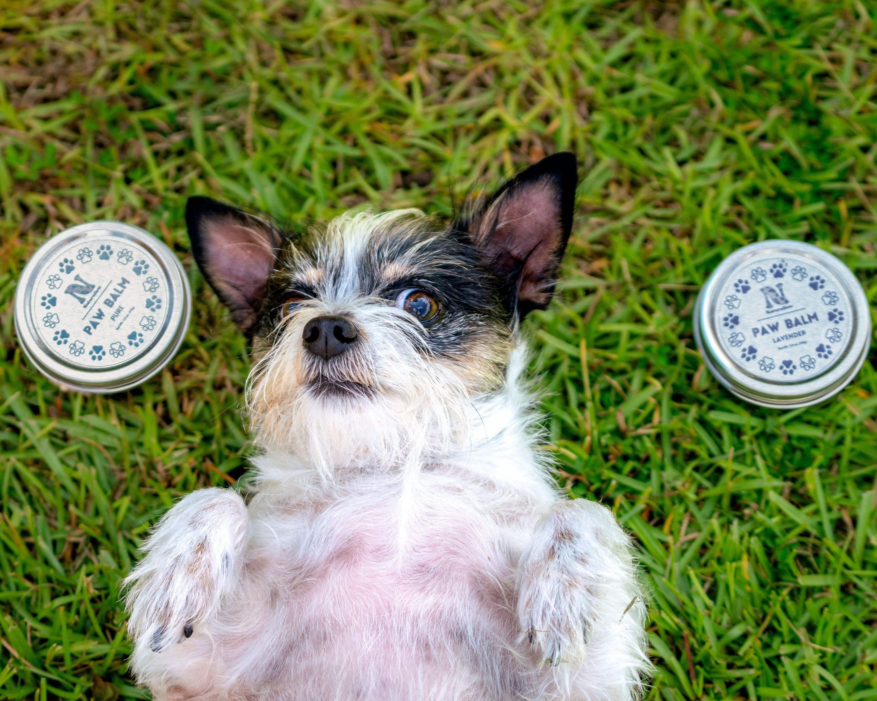 Naturallow Pets Pet Paw Balm