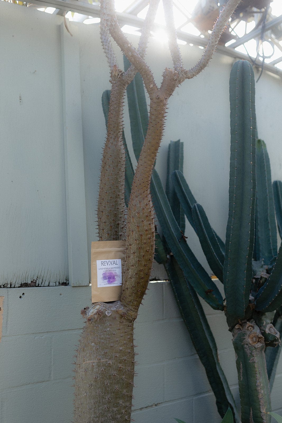 Revival Body Care BODY SCRUB LAVENDER + GRAPESEED BODY SCRUB
