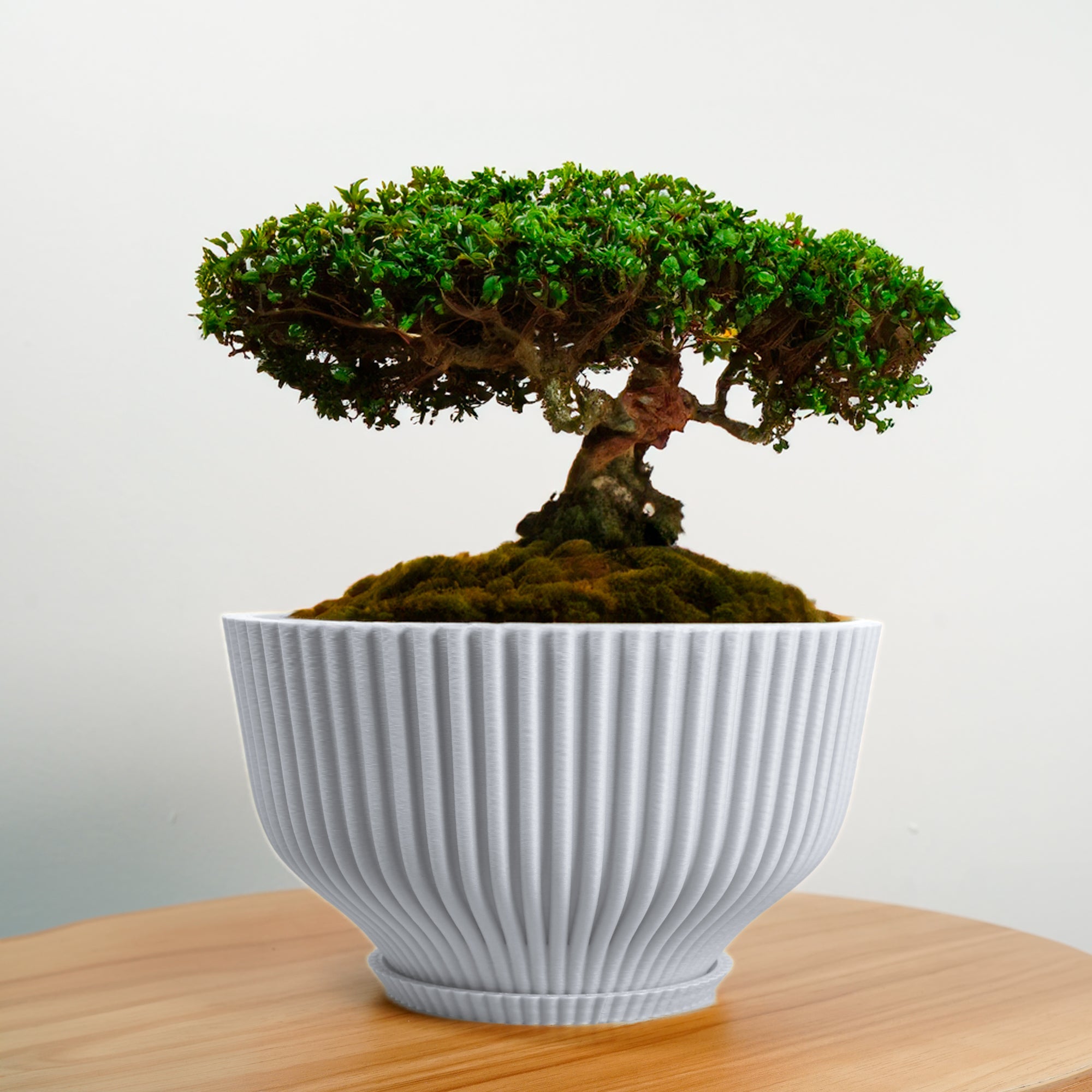Bonsai Pot with Drainage & Tray - My American Goods