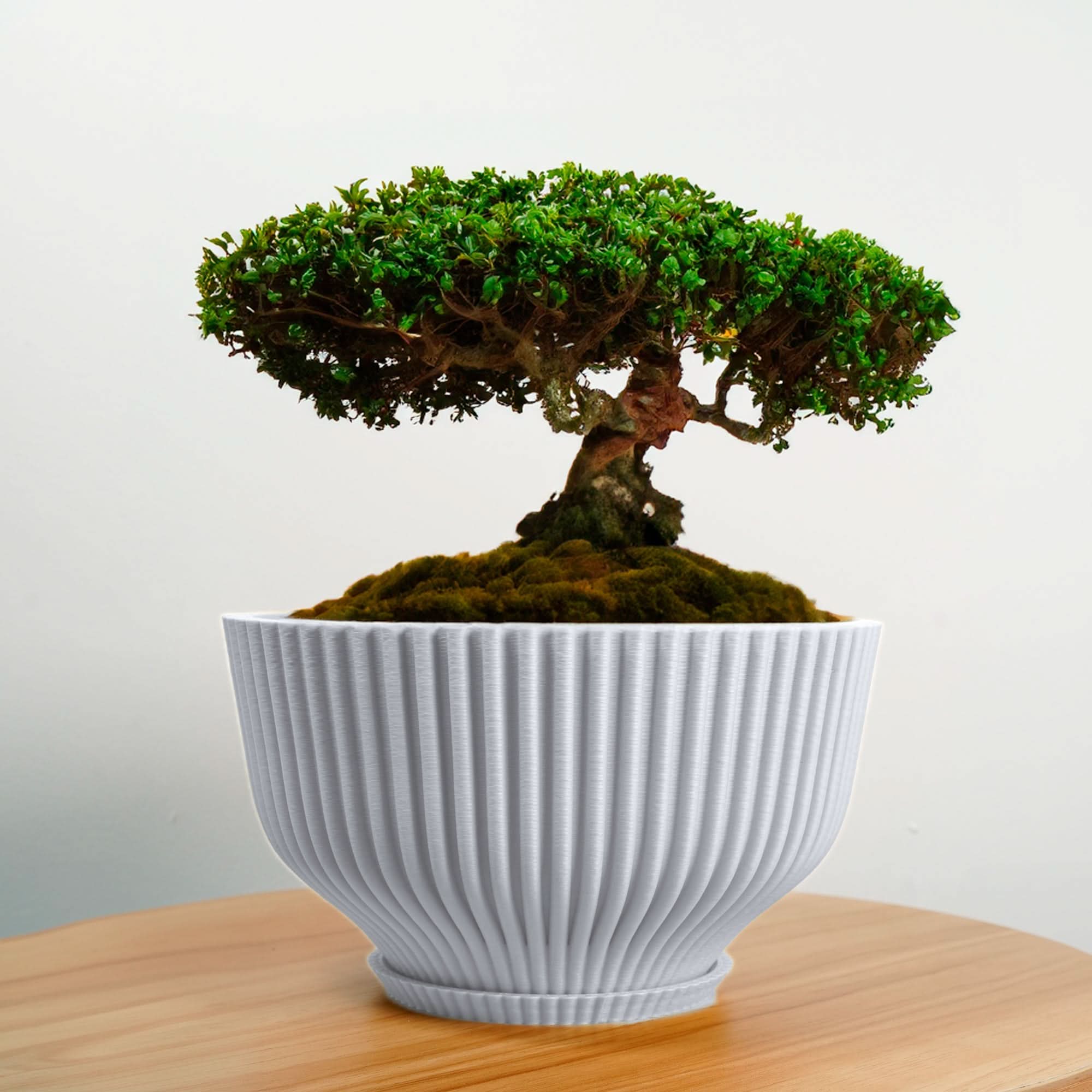 Bonsai Pot with Drainage & Tray - My American Goods