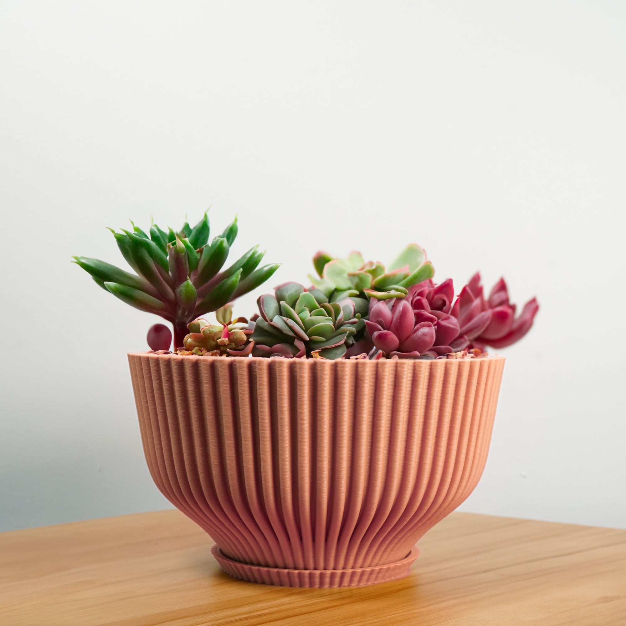 Bonsai Pot with Drainage & Tray - My American Goods