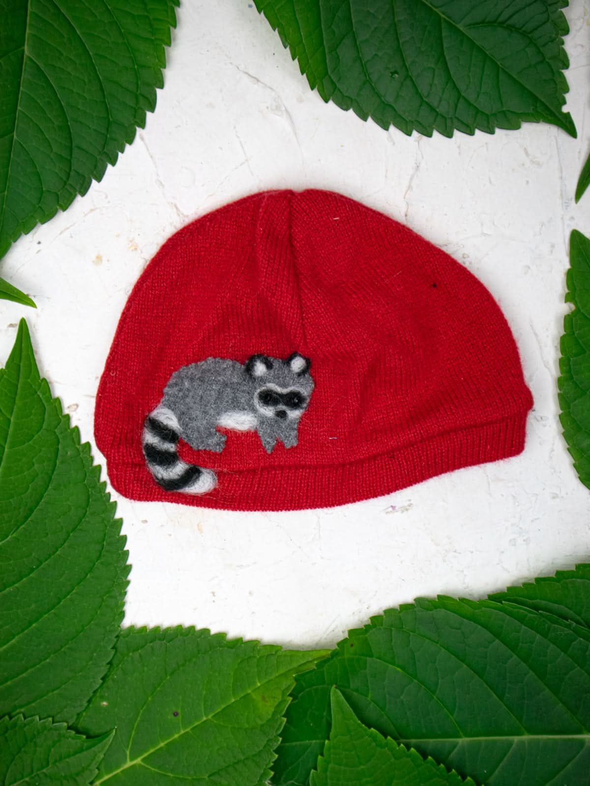 Ash & Rose hat Raccoon Cashmere Hat - Baby