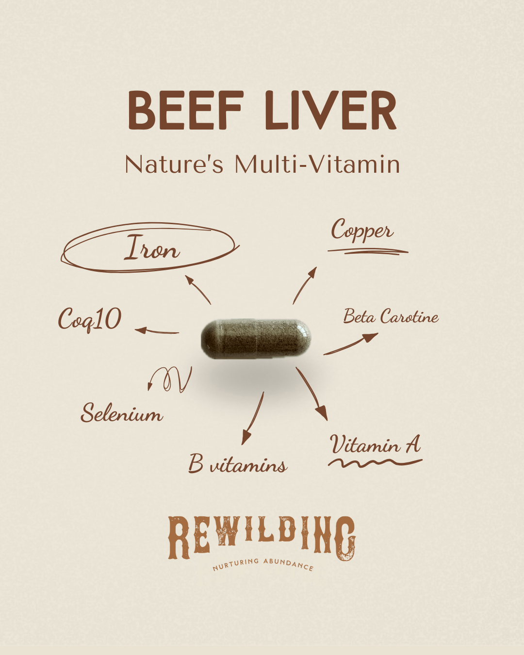 ReWilding USA Beef Liver Capsules