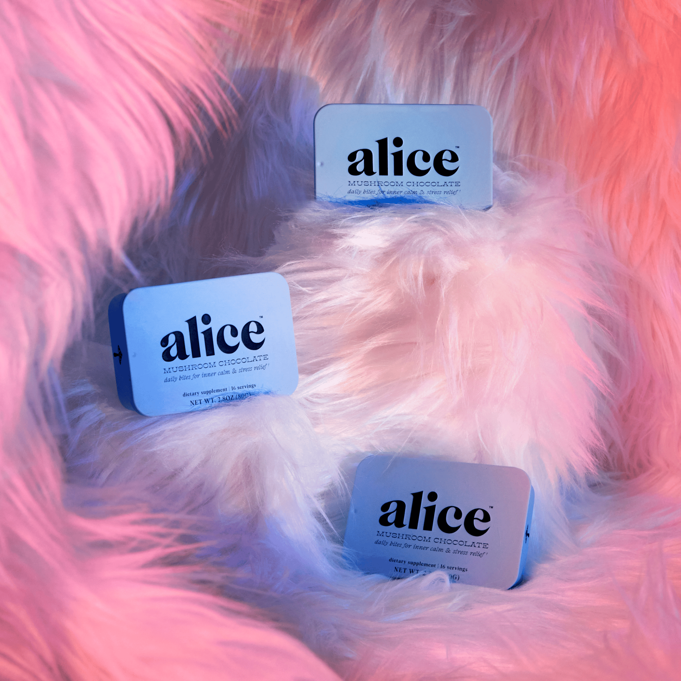 Zen-X Functional Mushroom Chocolates