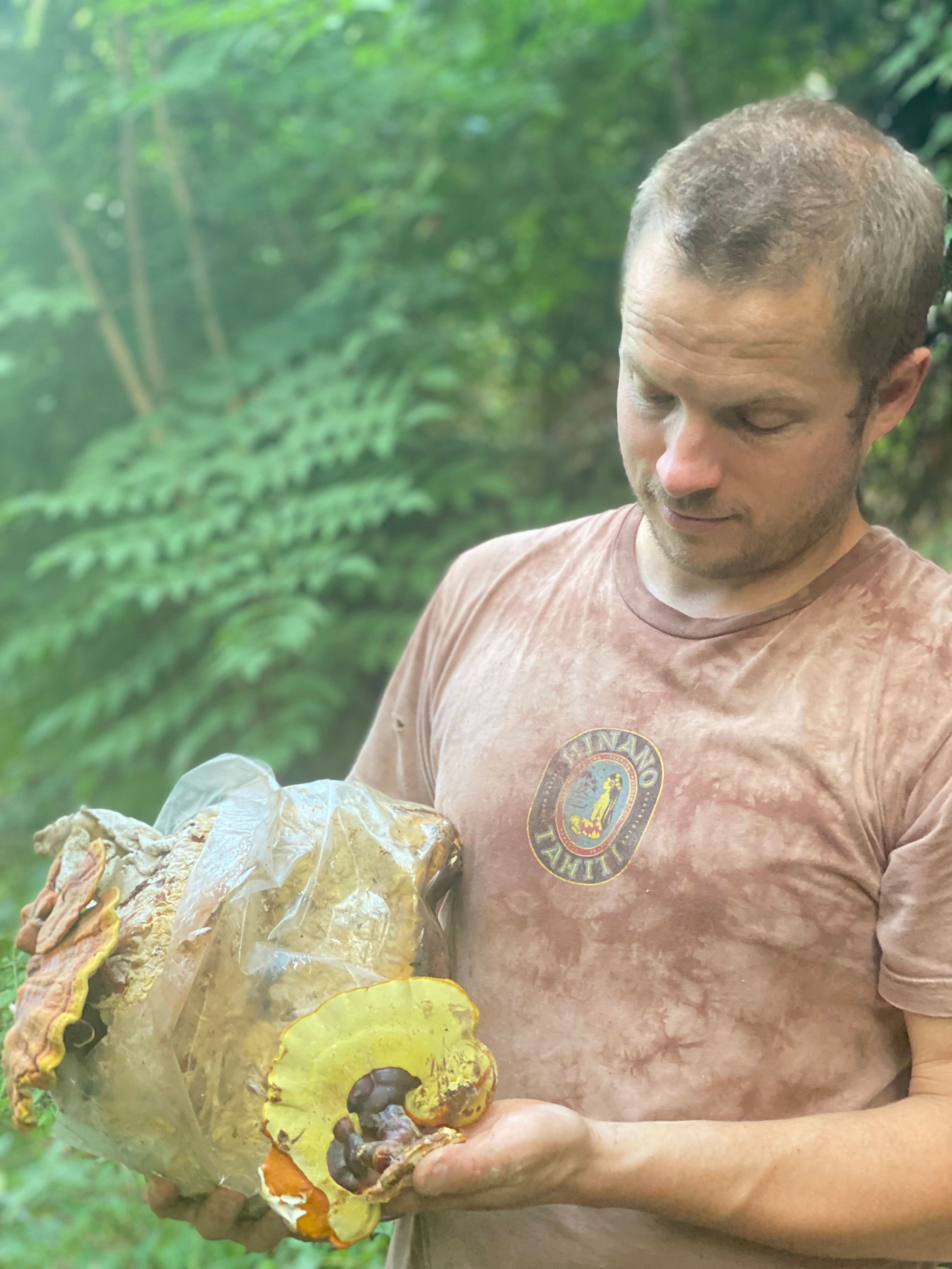 Reishi + Turkey Tail Dual Extract Tincture - My American Goods