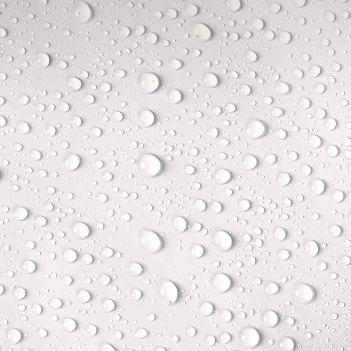 Water droplets representing a fresh, no-rinse grooming routine for dogs