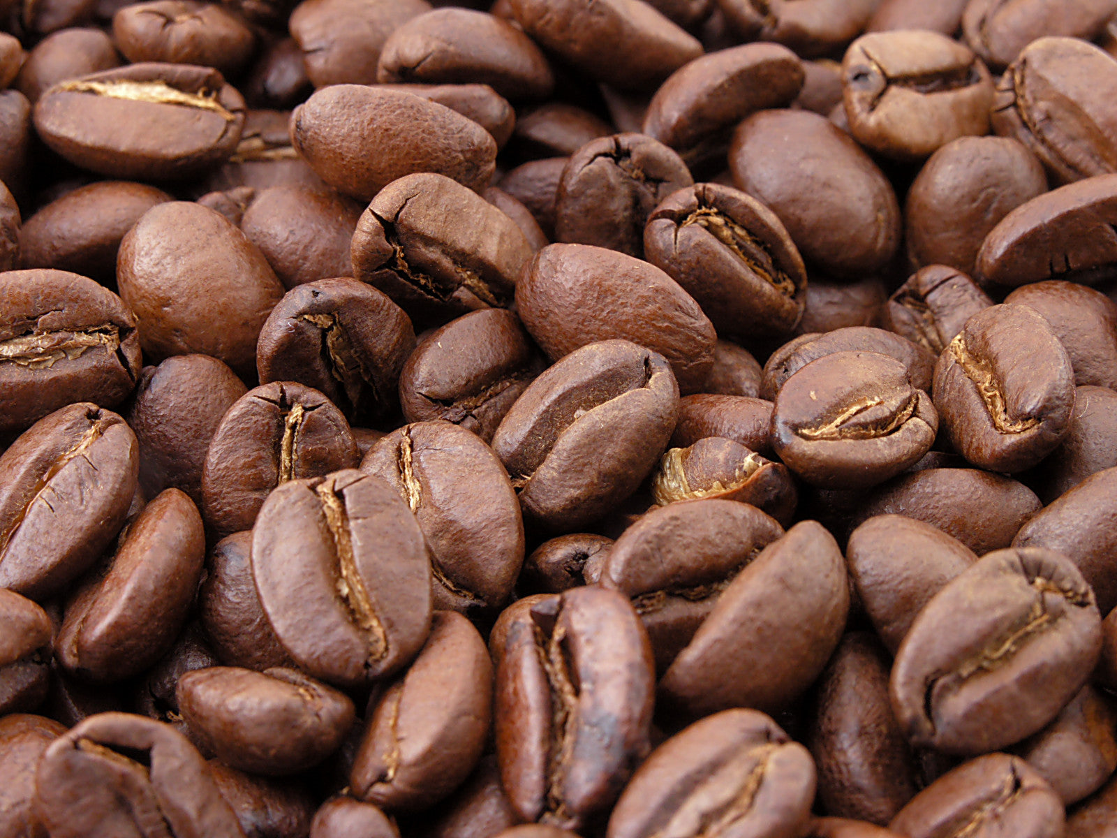 Wholesale Only - Coffee - Bulk Beans - 5 lbs - My American Goods