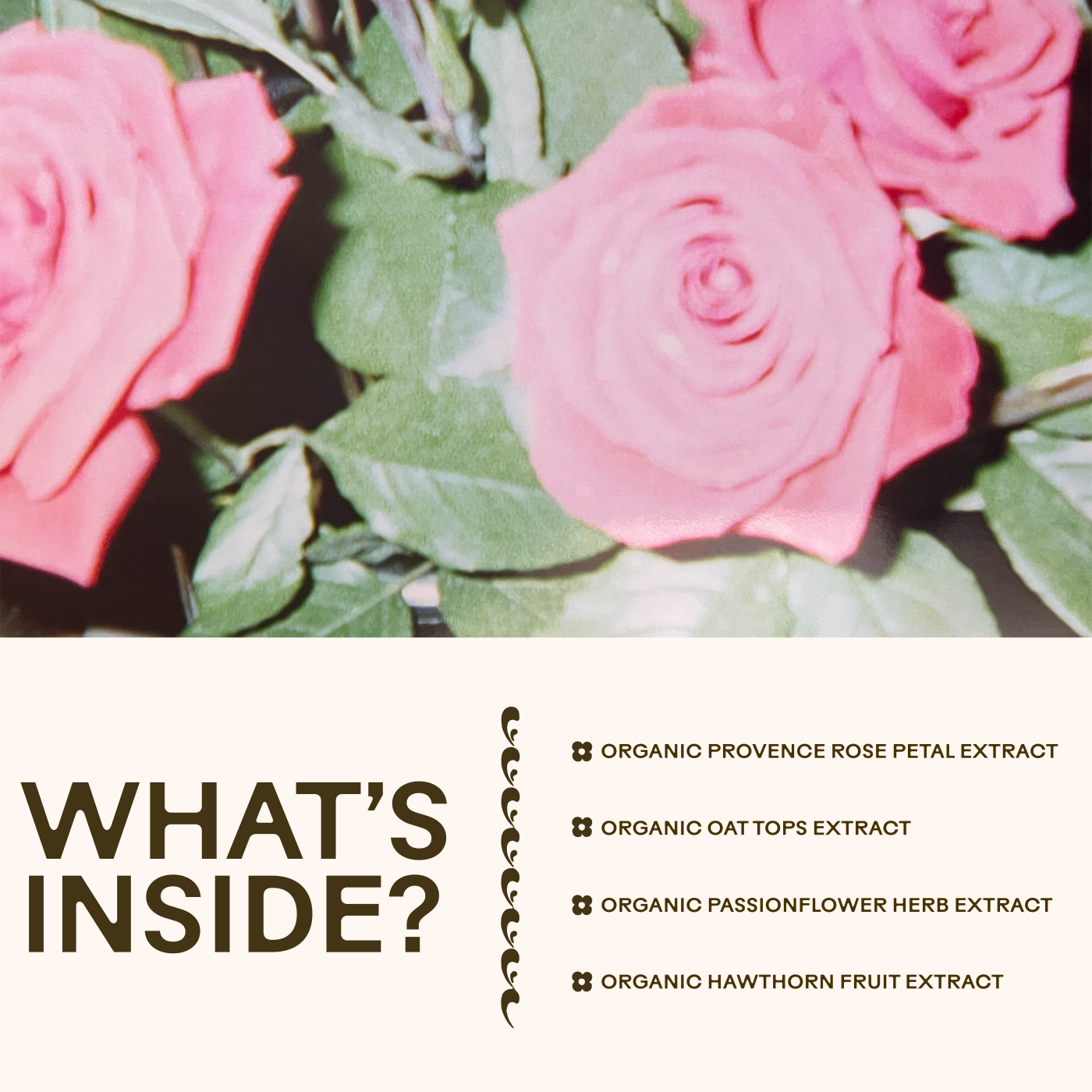 Rose-Colored Glasses - My American Goods