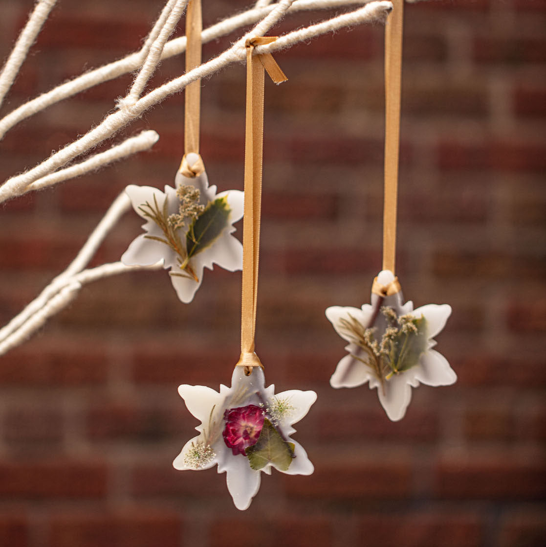 Spicy Apple Snowflake Botanical Sachet