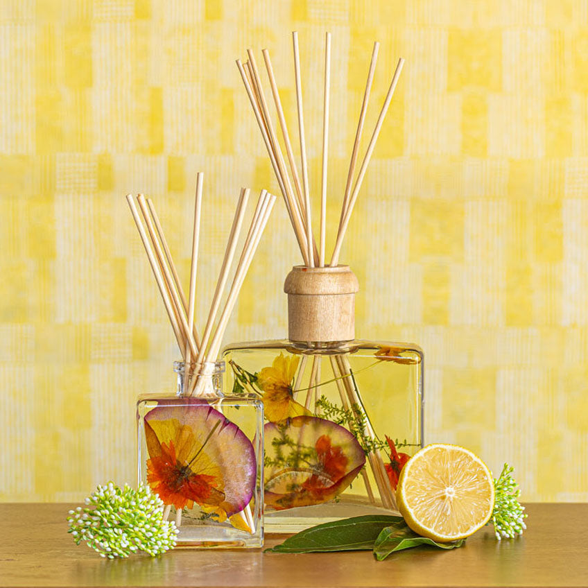 Accent Botanical Reed Diffuser - Sugared Citrus
