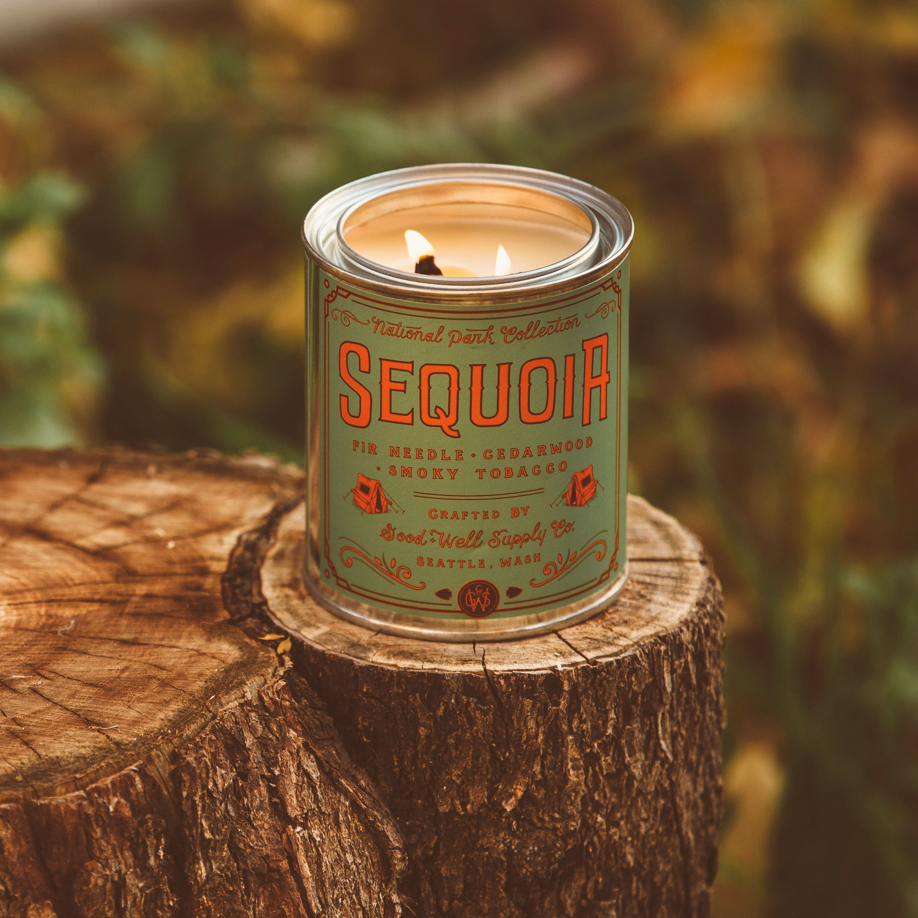 Good & Well Supply Co Candles Sequoia National Park Candle